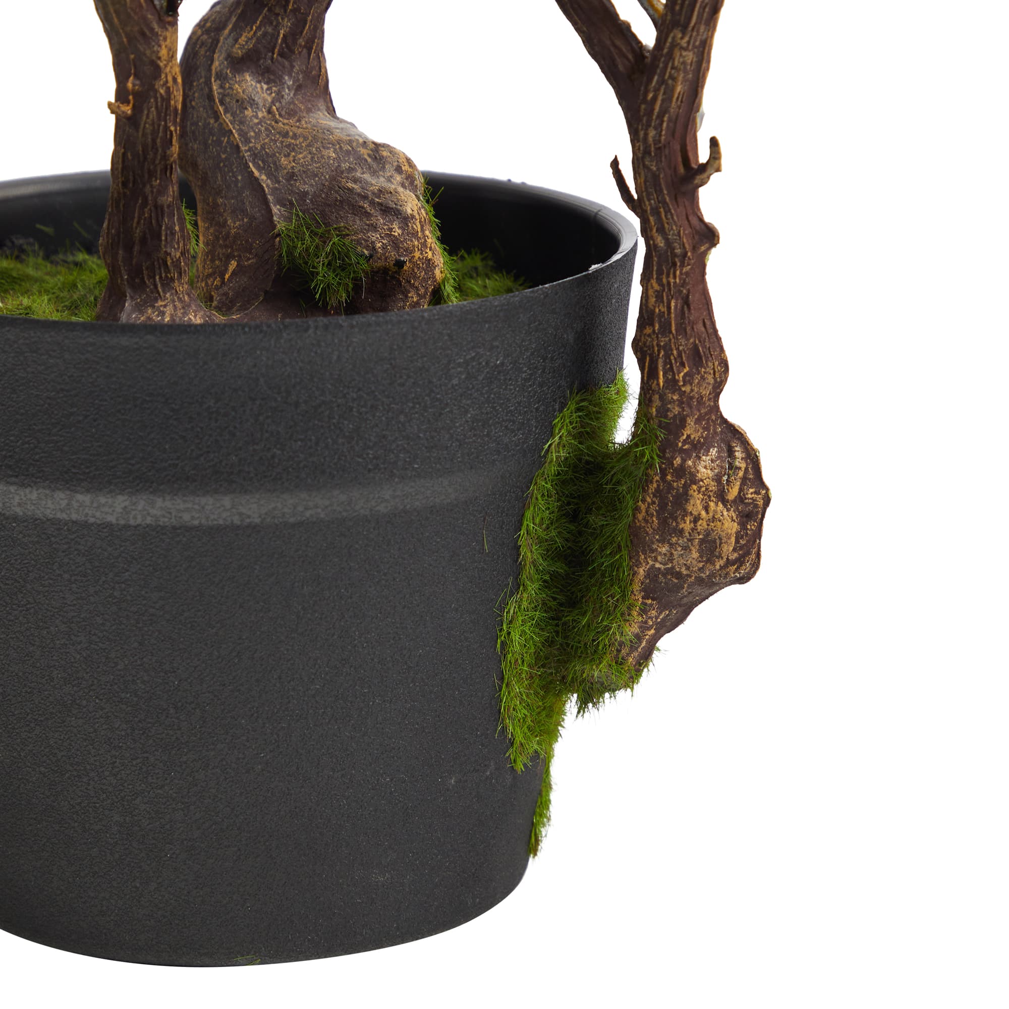 2.5ft. Potted Cherry Blossom Plant