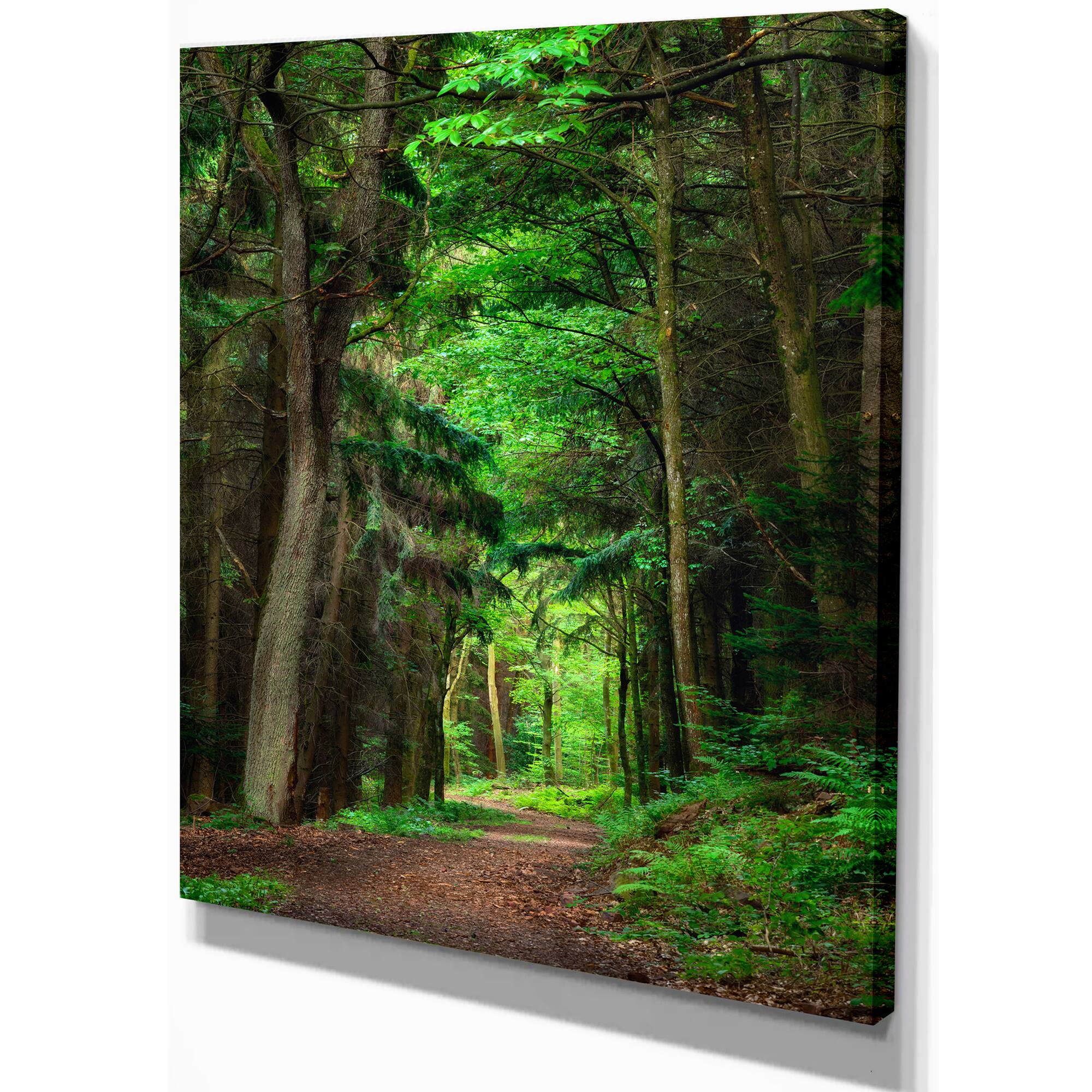 Designart - Dreamy Greenery in Dense Forest - Forest Canvas Art Print