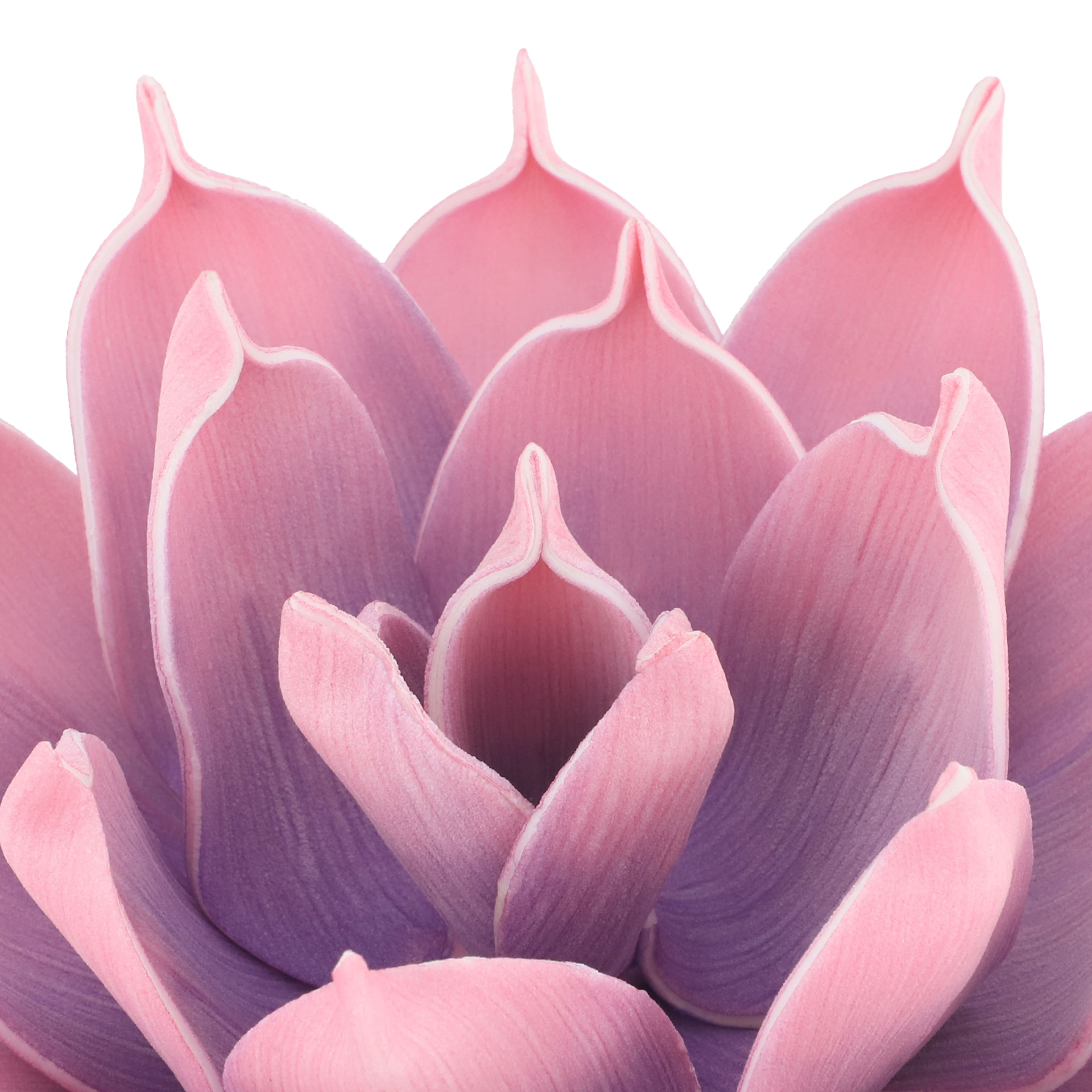 7&#x22; Pink Decorative Succulent by Ashland&#xAE;