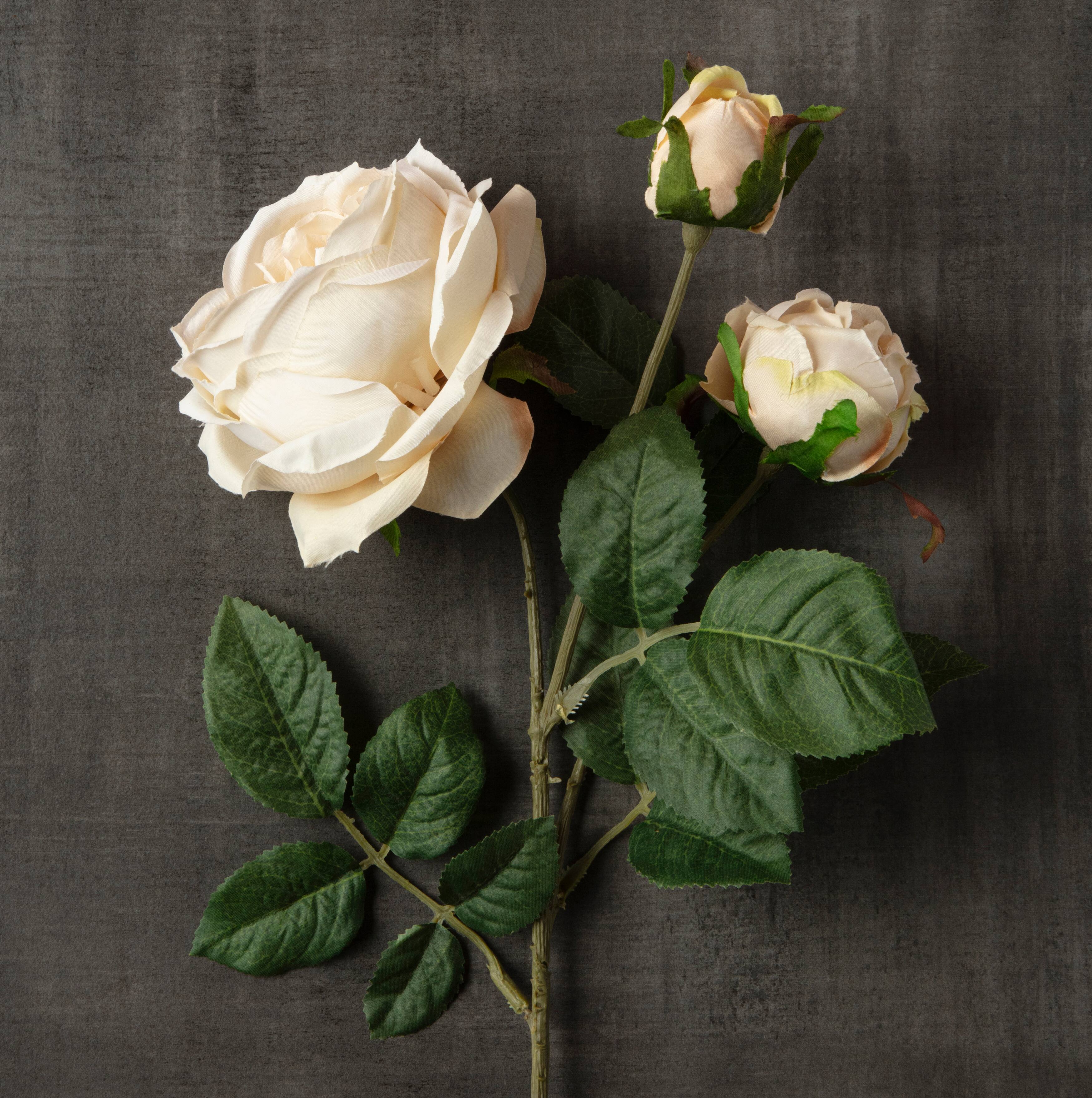 12 Pack: Toast English Rose Stem by Ashland&#xAE;