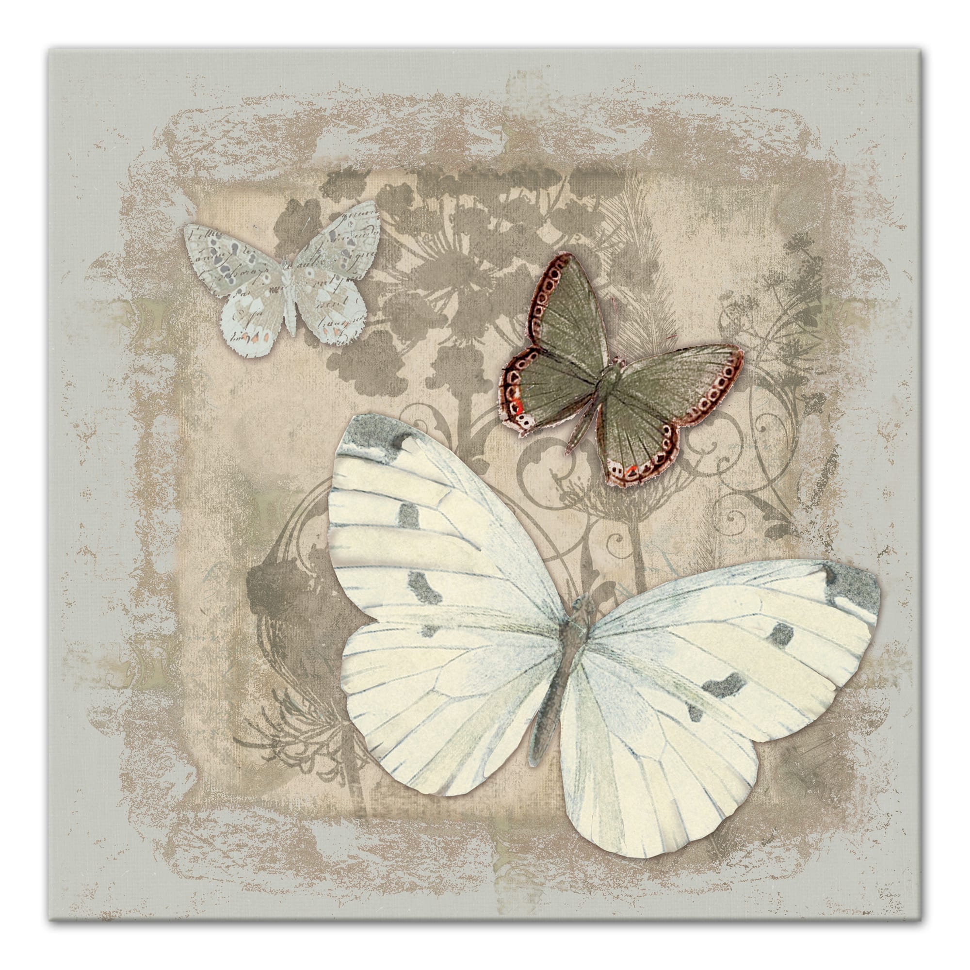 Neutral Butterflies 24" x 24" Canvas Wall Art