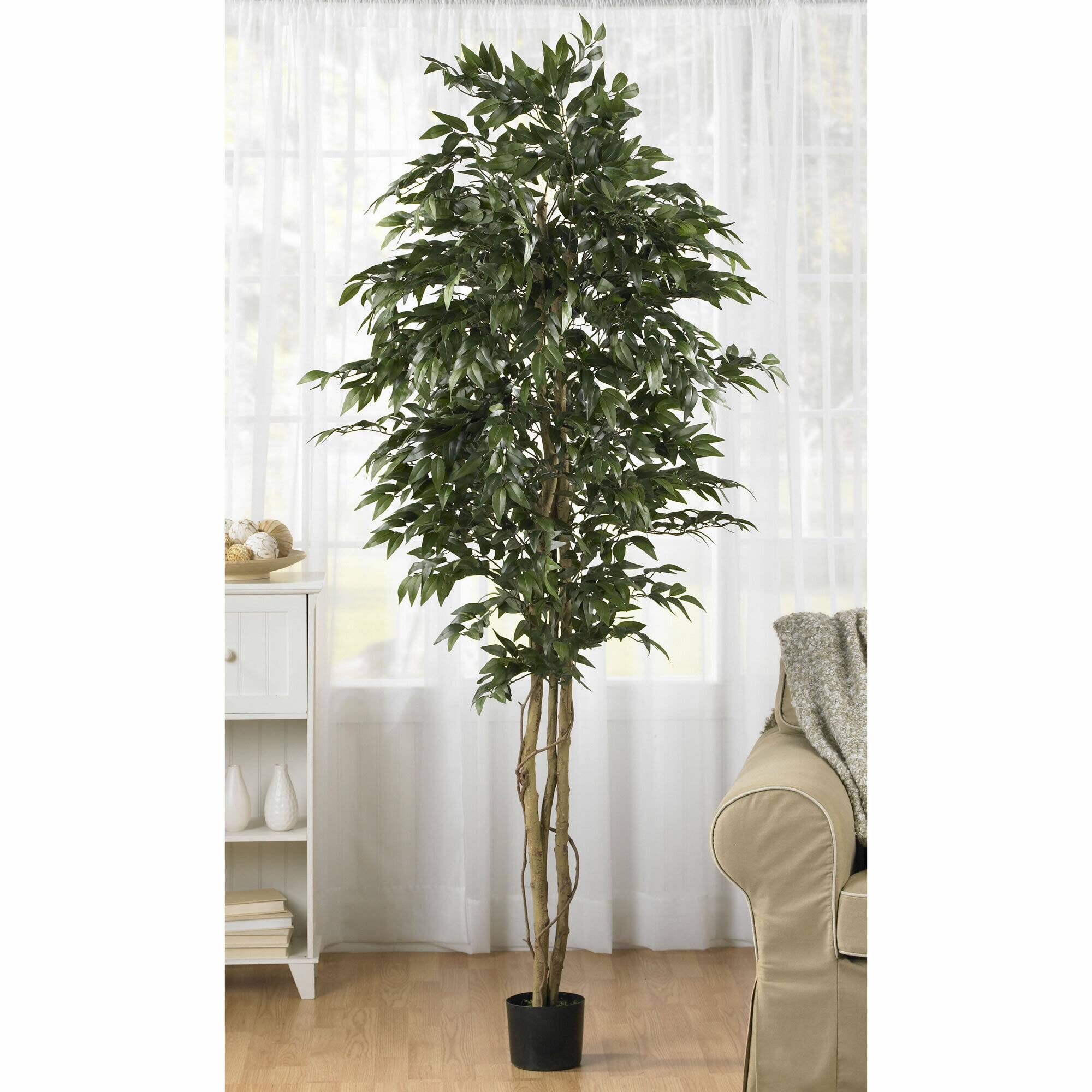 6ft. Potted Smilax Tree