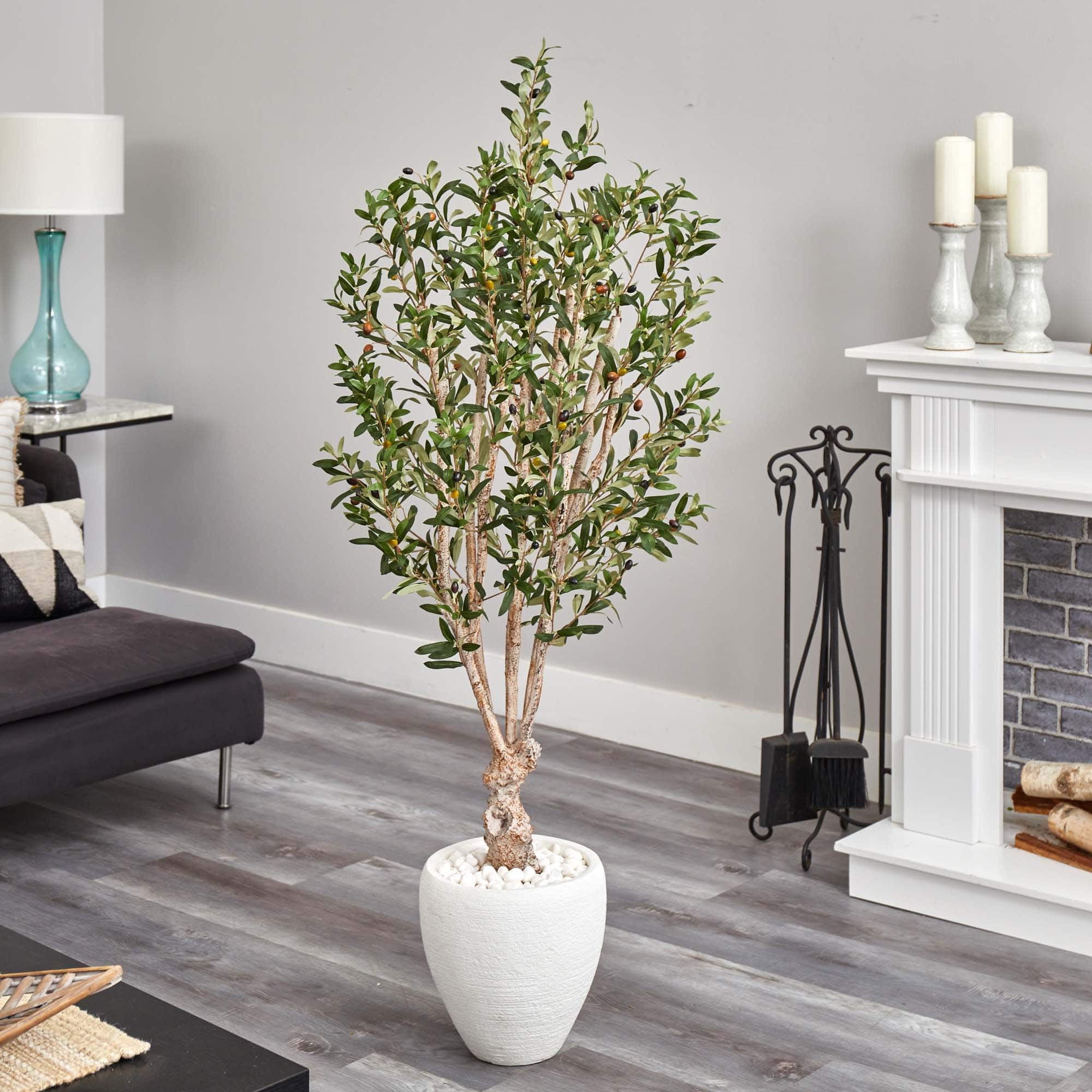 5ft. Olive Tree in White Oval Planter