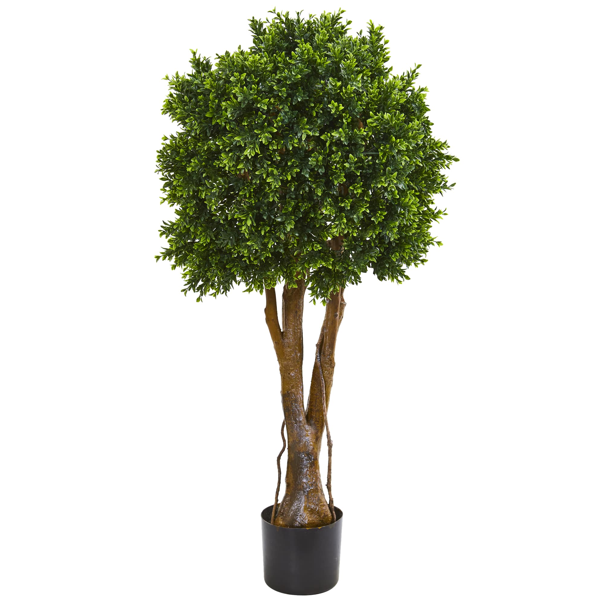 3.8ft. Potted Boxwood Topiary Tree