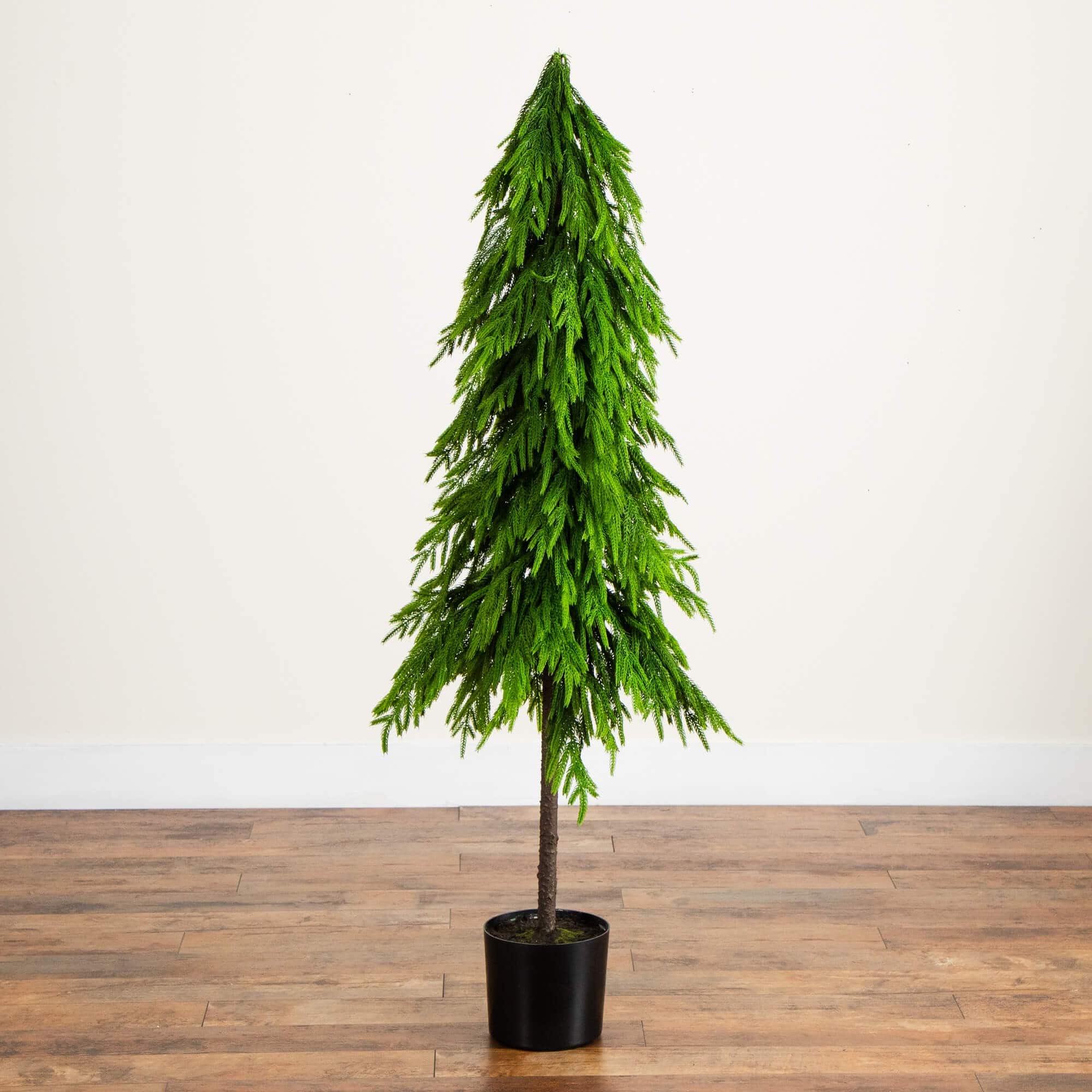 5ft. Unlit Down Swept Real Touch Norfolk Pine Artificial Christmas Tree in Nursery Pot
