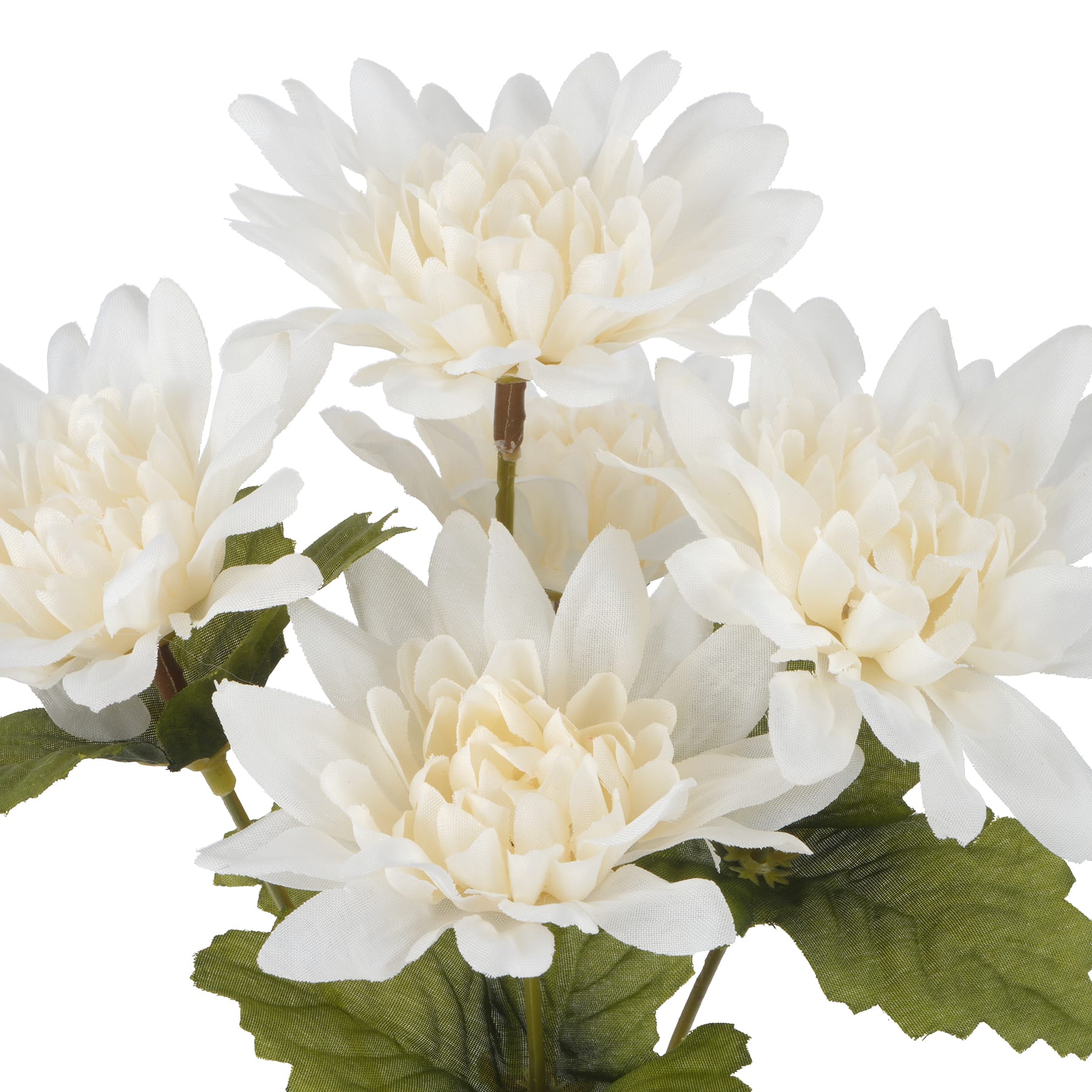 12&#x22; Dahlia Bush by Ashland&#xAE;