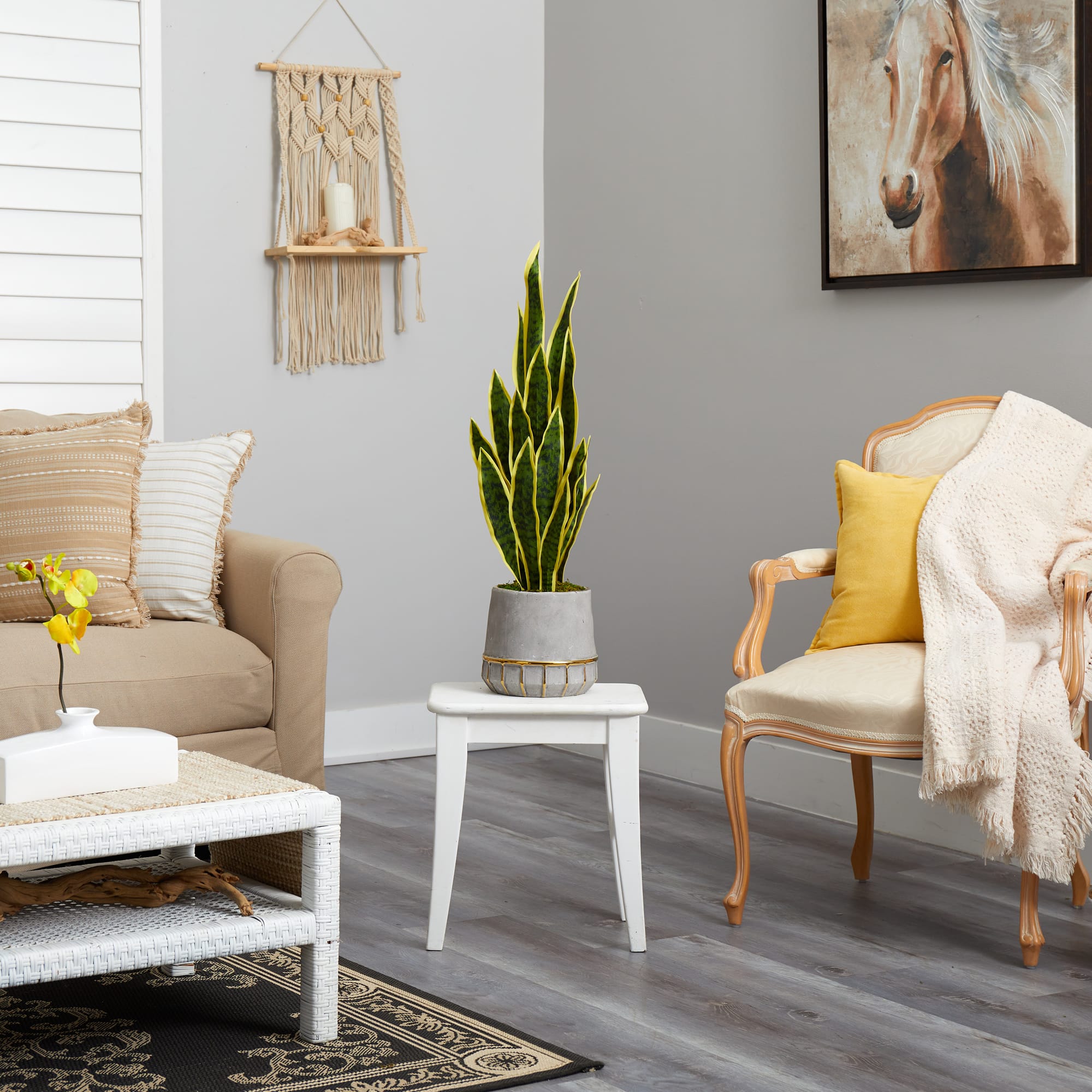 3ft. Snake Plant in Stoneware Planter with Gold Trim