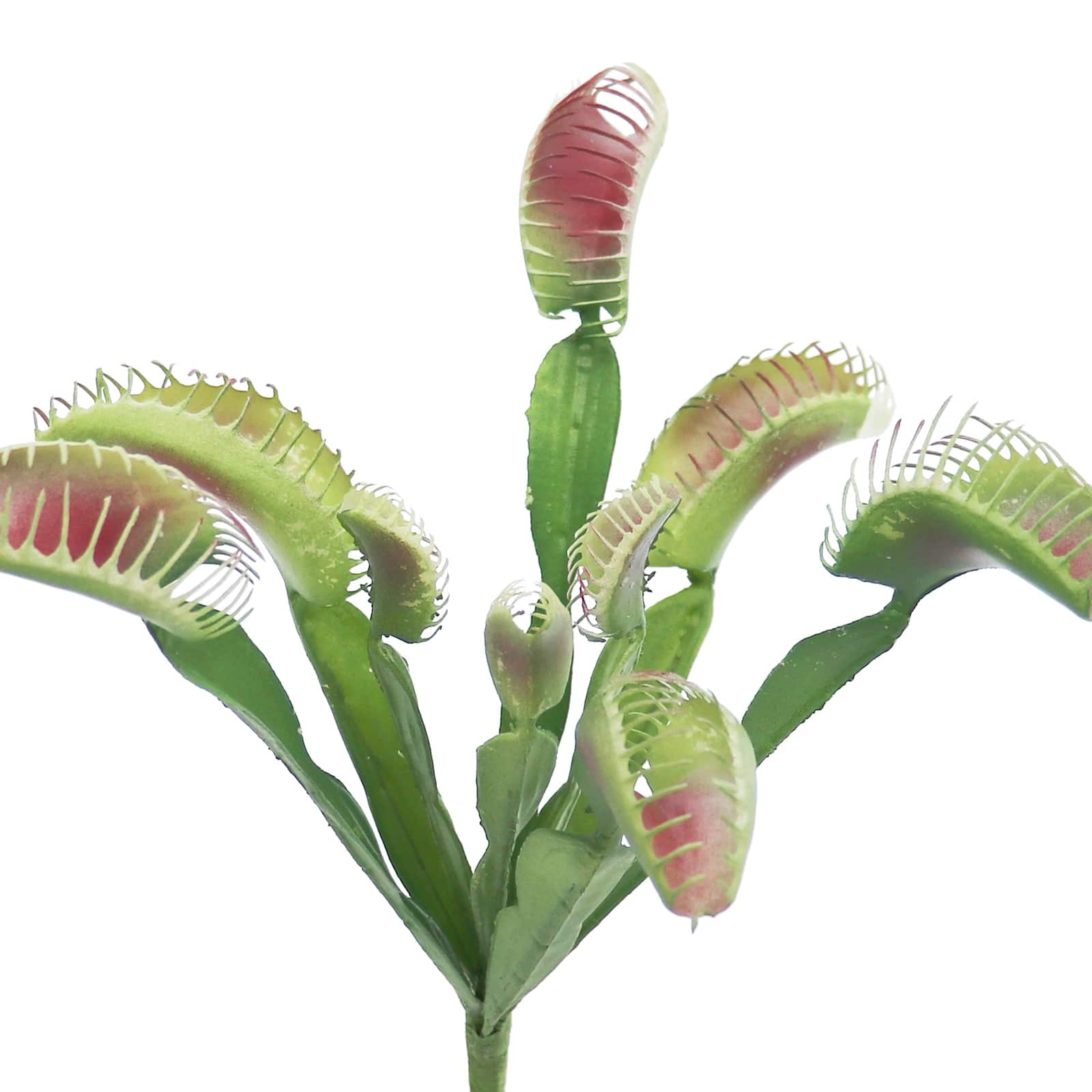 11.25&#x22; Red &#x26; Green Venus Flytrap Pick by Ashland&#xAE;