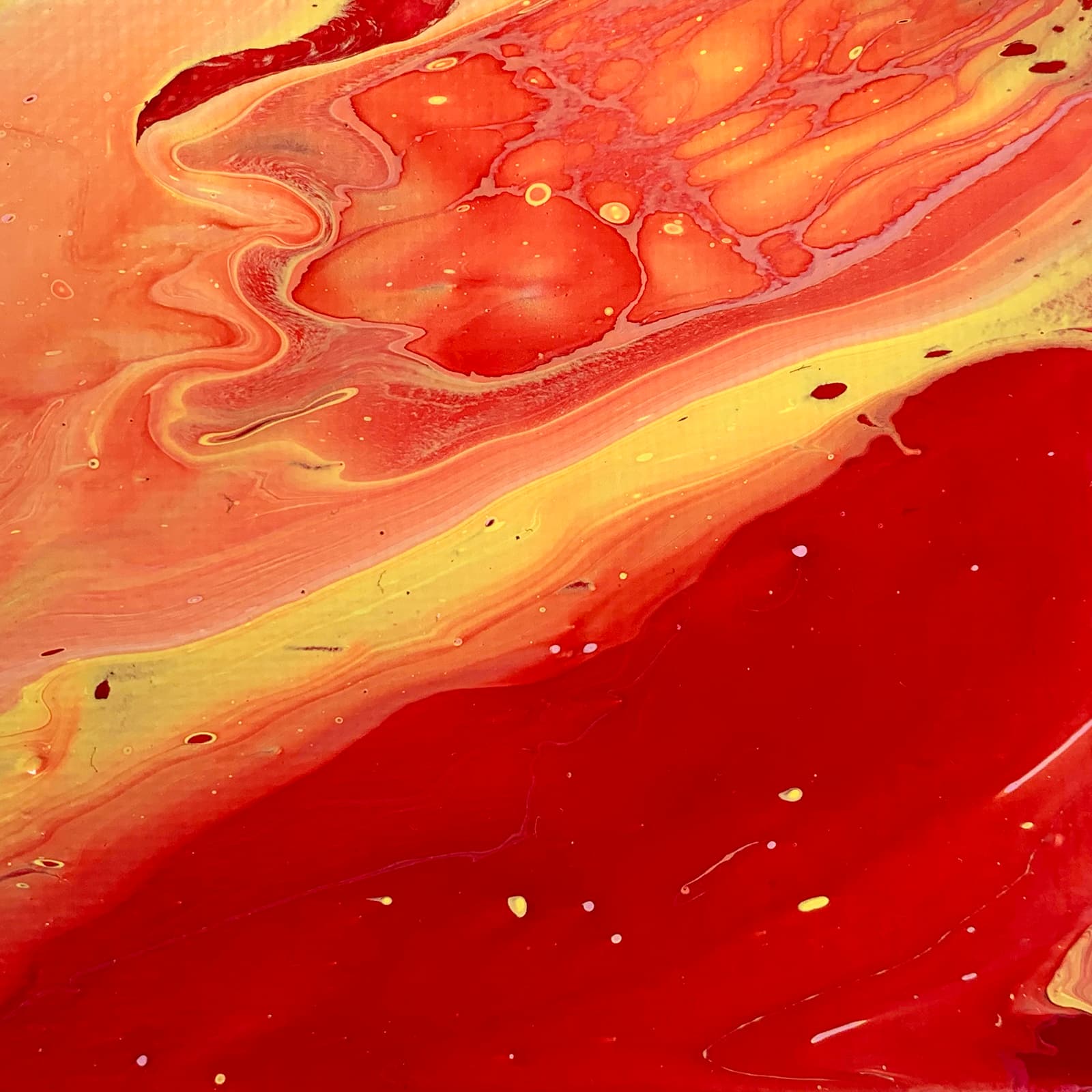 12 Pack: DecoArt® Fluid Art Ready-To-Pour Acrylic™ Paint, 8oz.