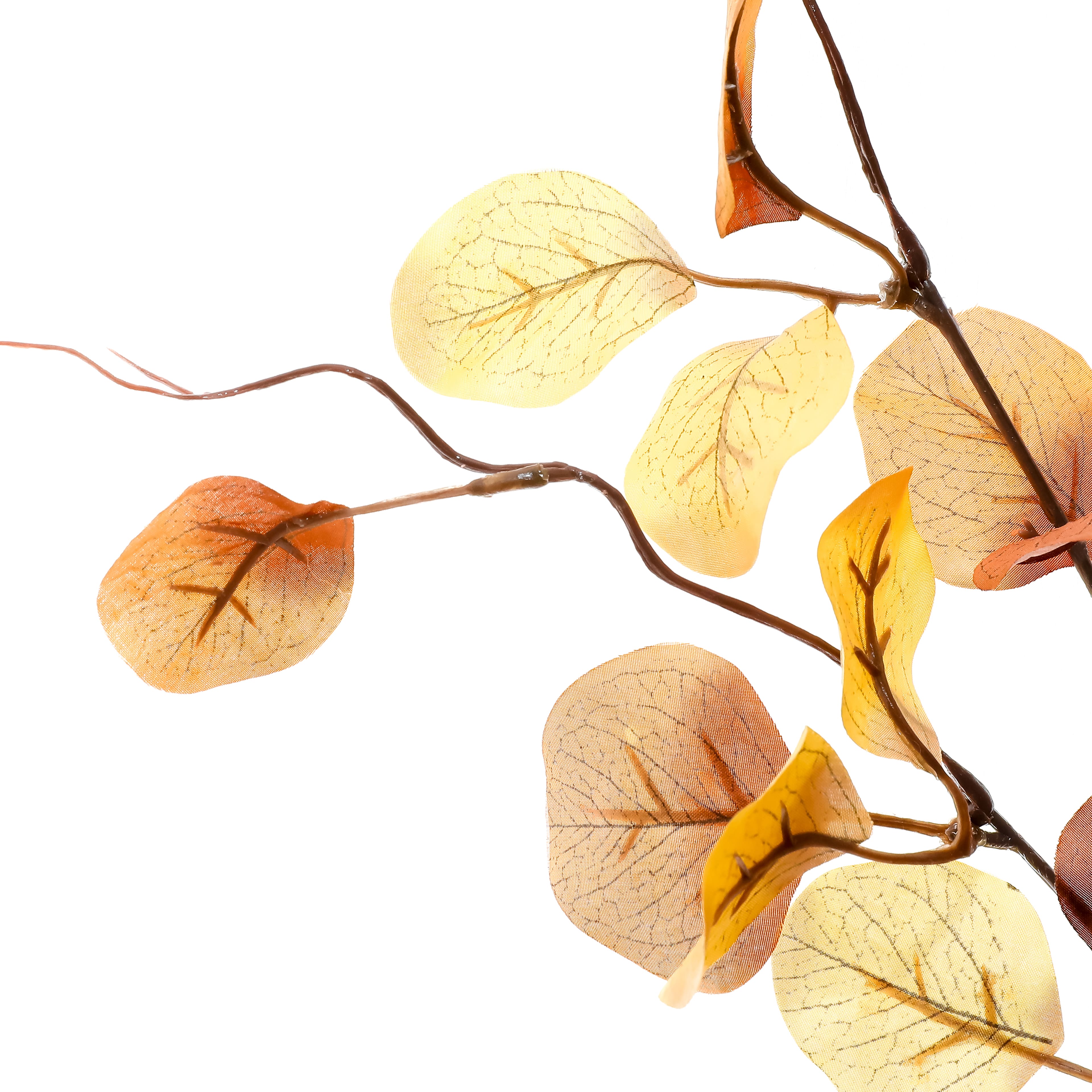 39&#x22; Brown Eucalyptus Stem by Ashland&#xAE; 
