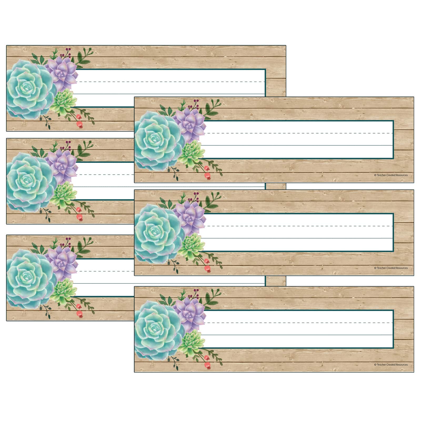 Teacher Created Resources Rustic Bloom Name Plates, 6 Packs of 36