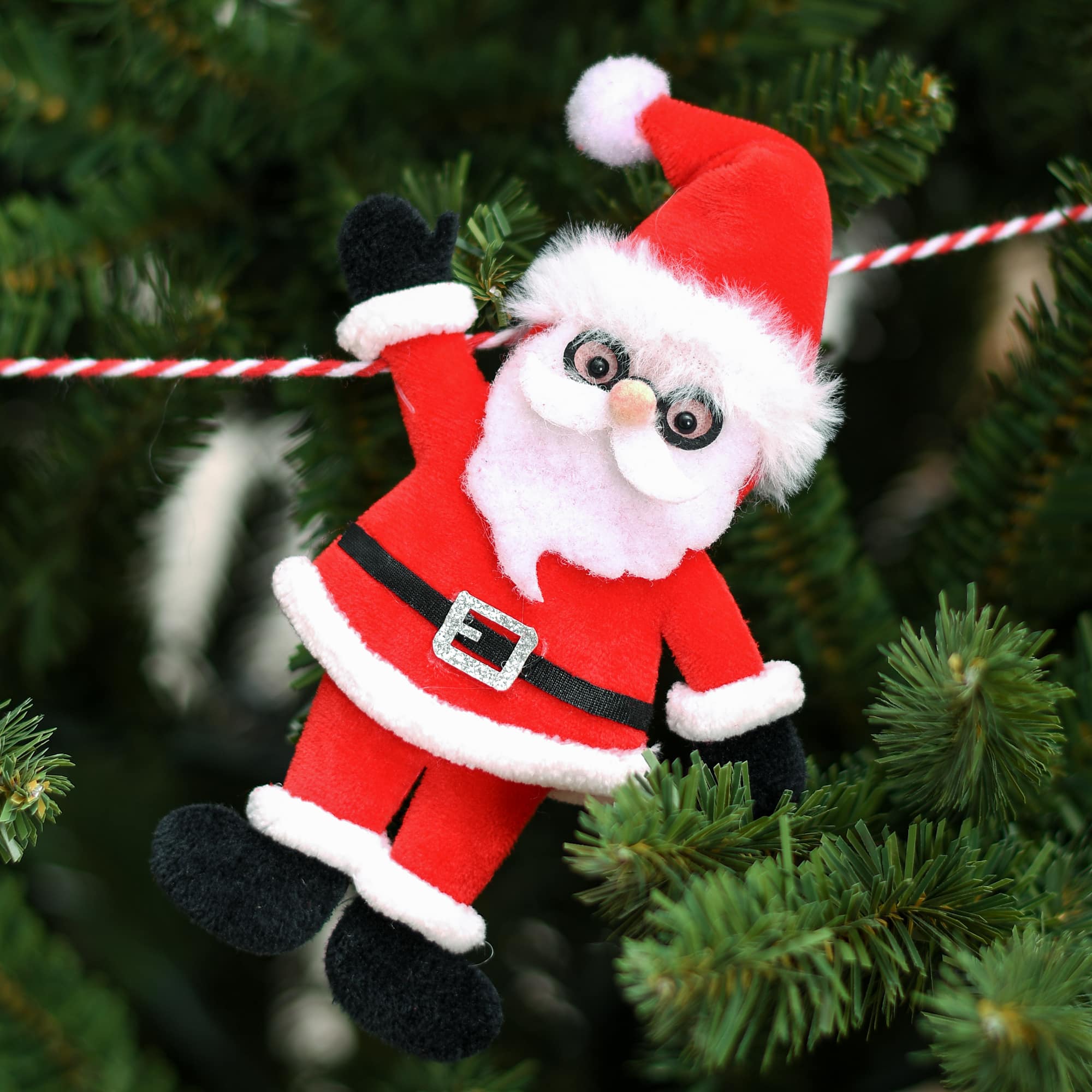 5.25&#x22; Flocked Poodle Plastic Ornament by Ashland&#xAE;