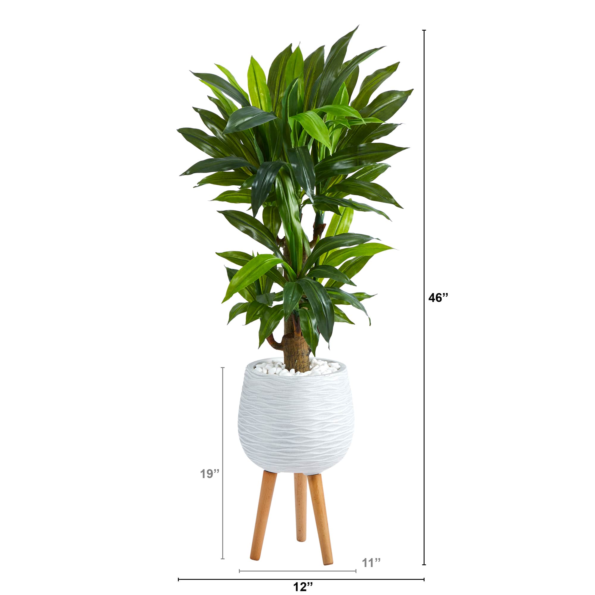 4ft. Corn Stalk Dracaena Plant in White Planter with Stand