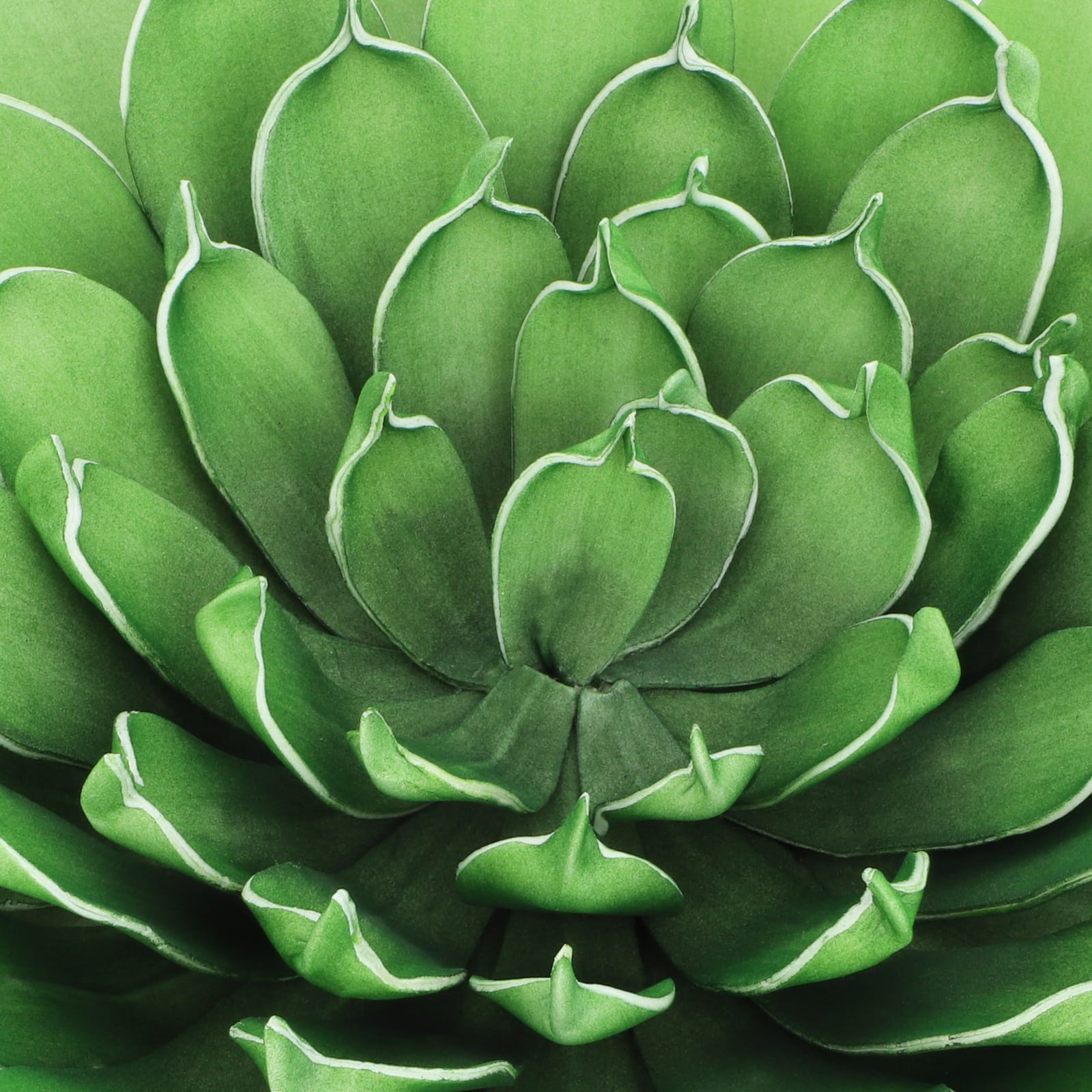 Green Decorative Succulent by Ashland&#xAE;