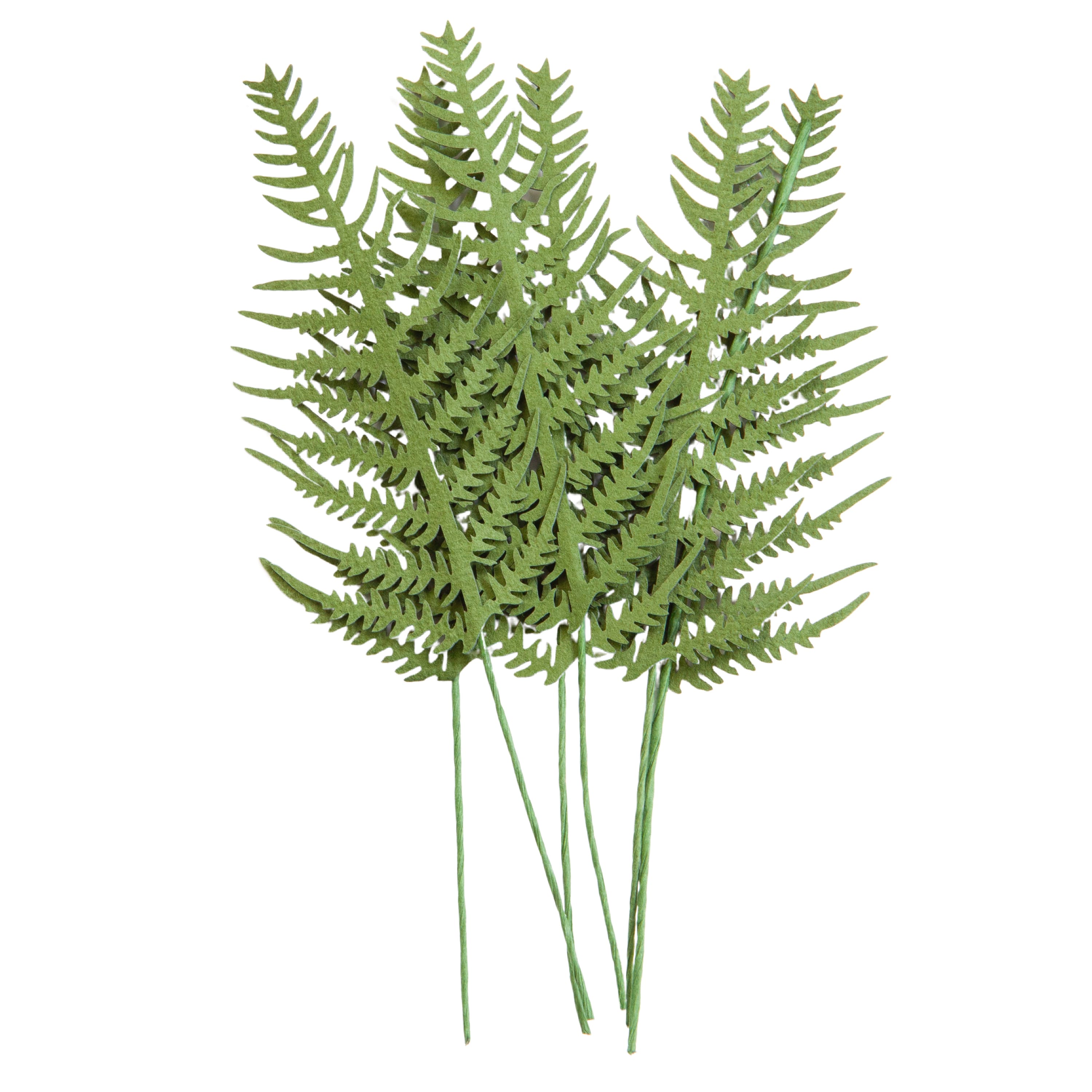 12 Packs: 6ct. (72 total) Green Paper Fern Embellishments by Recollections™