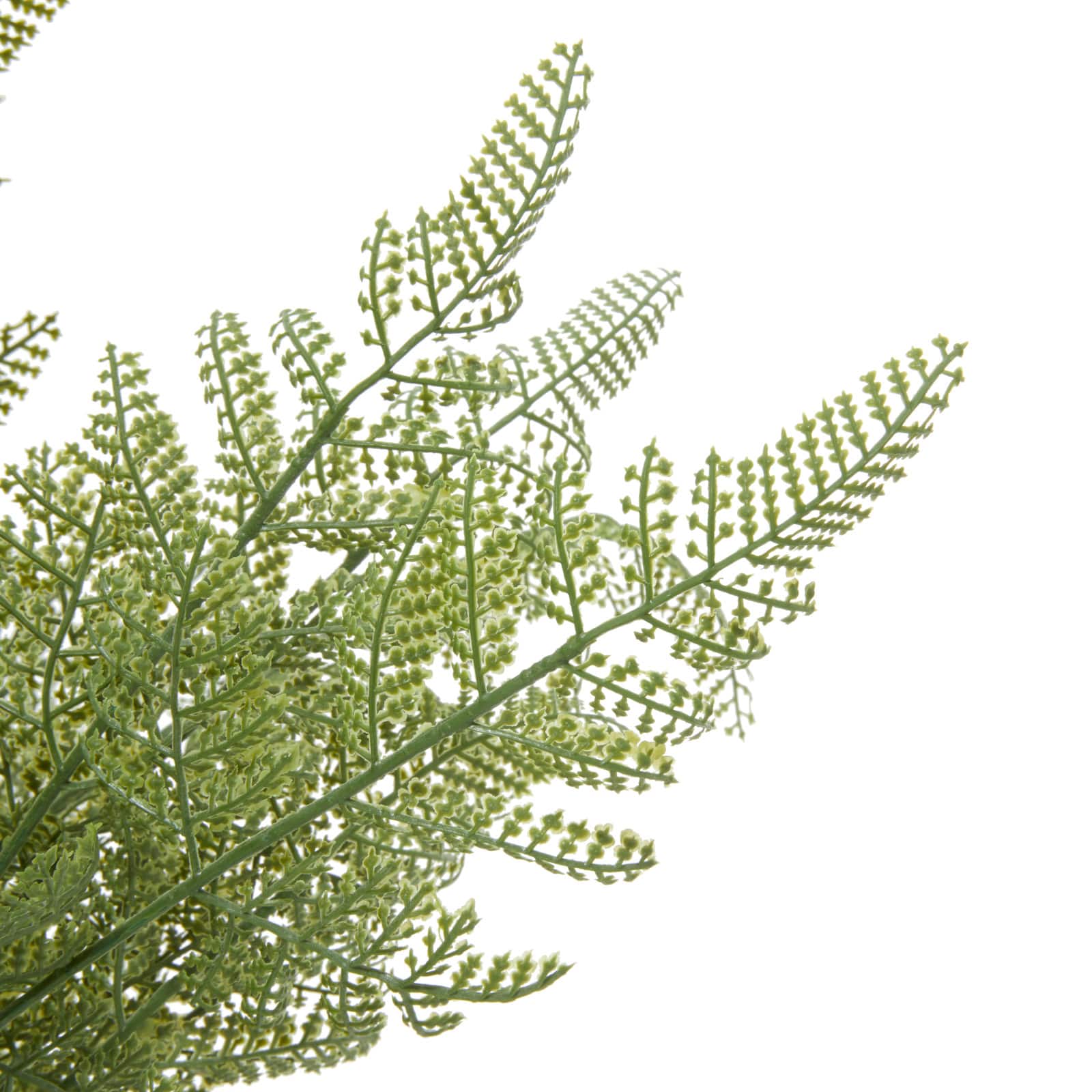 Green Plastic Traditional Artificial Foliage, 15" x 15" x 19"