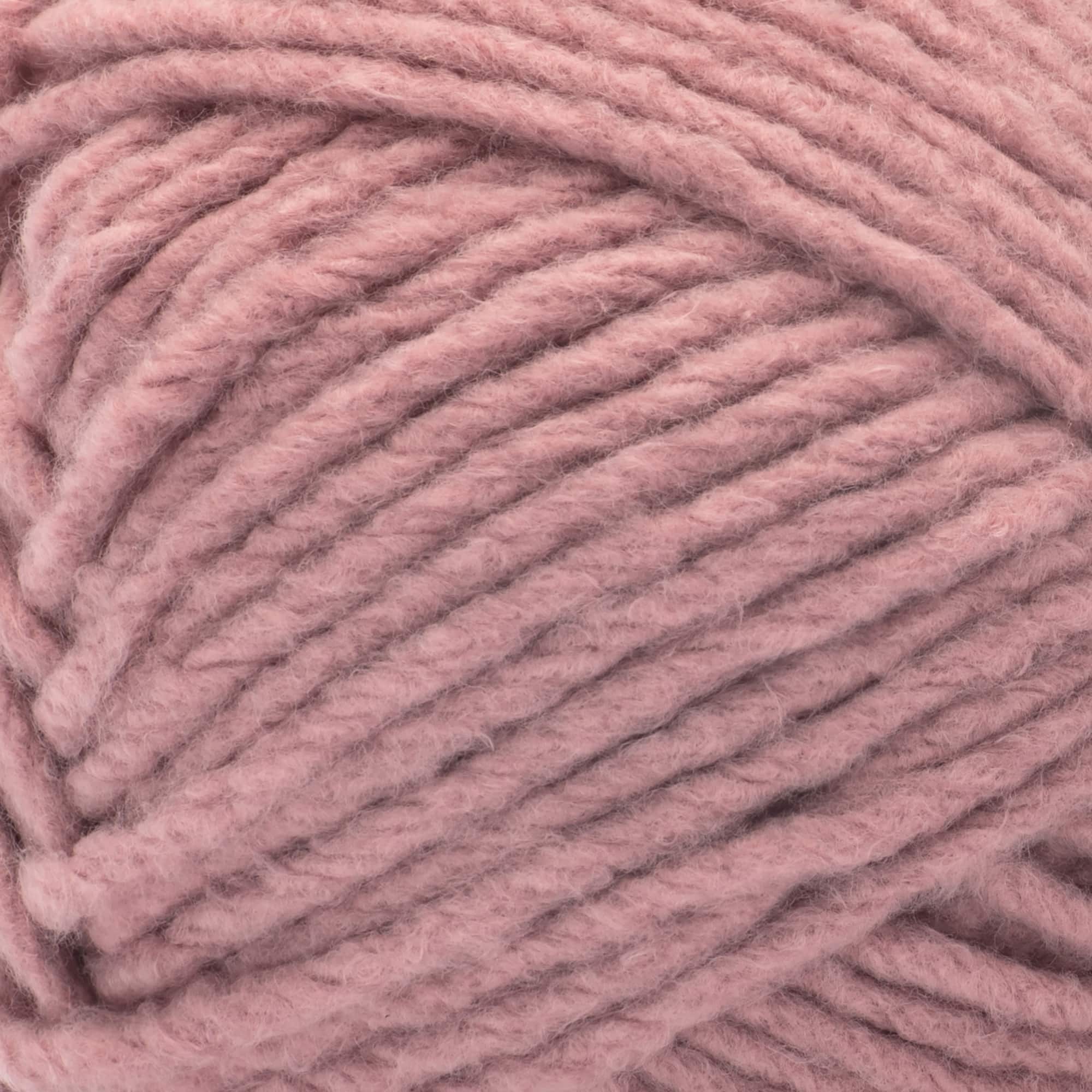 Bernat&#xAE; Forever Fleece&#x2122; Yarn