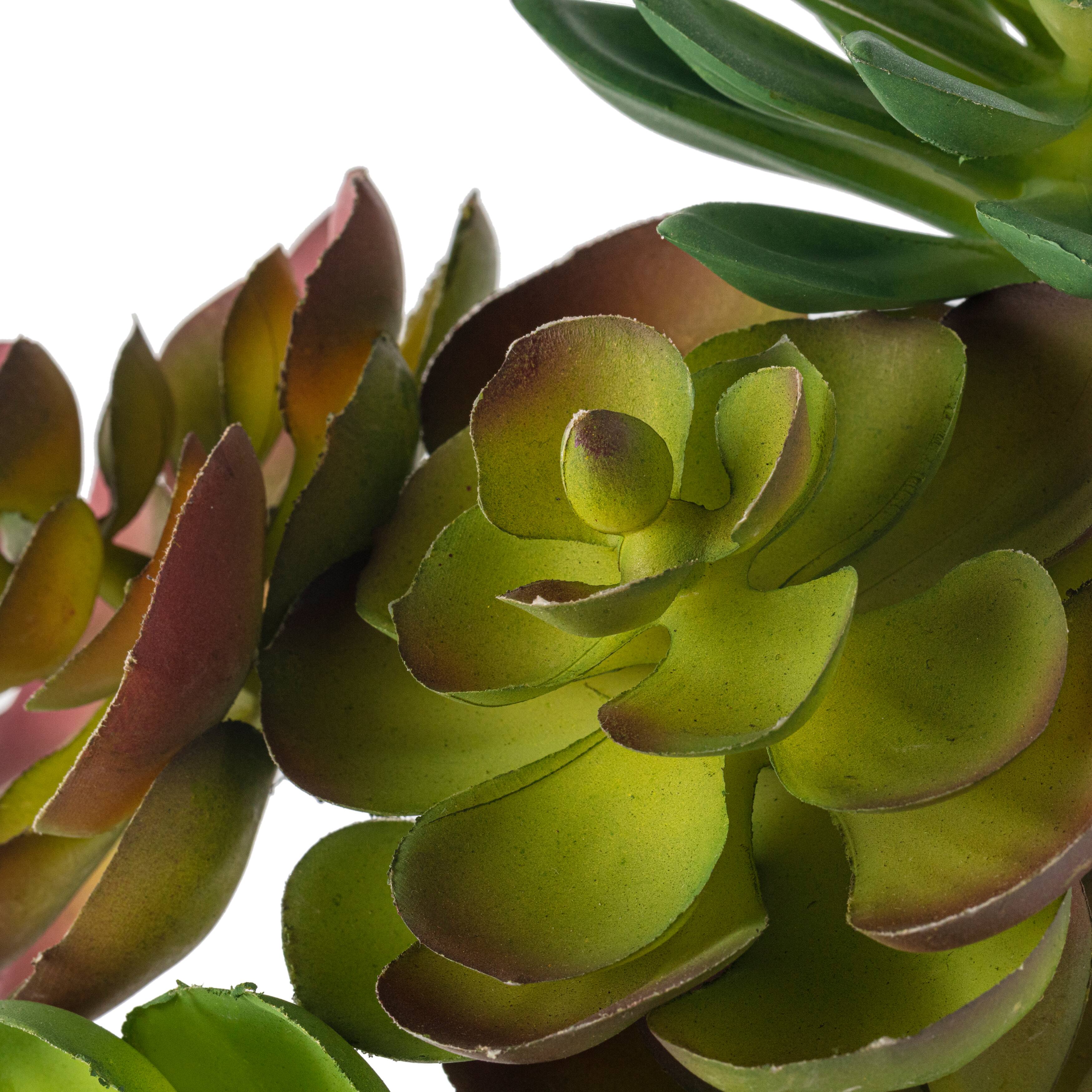 Assorted 5" Succulent Pick by Ashland®, 1pc.