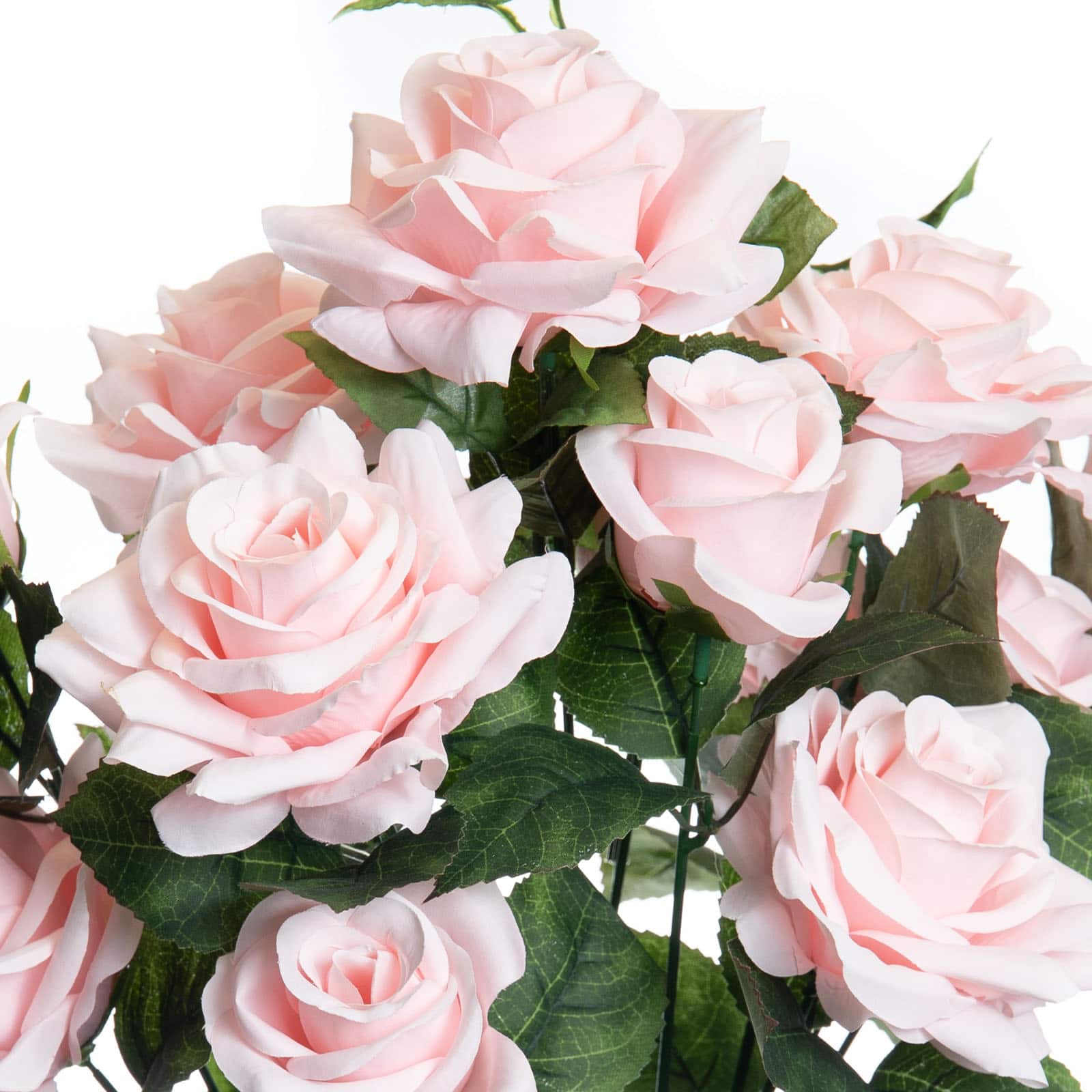 Pink Rose Bush by Ashland®