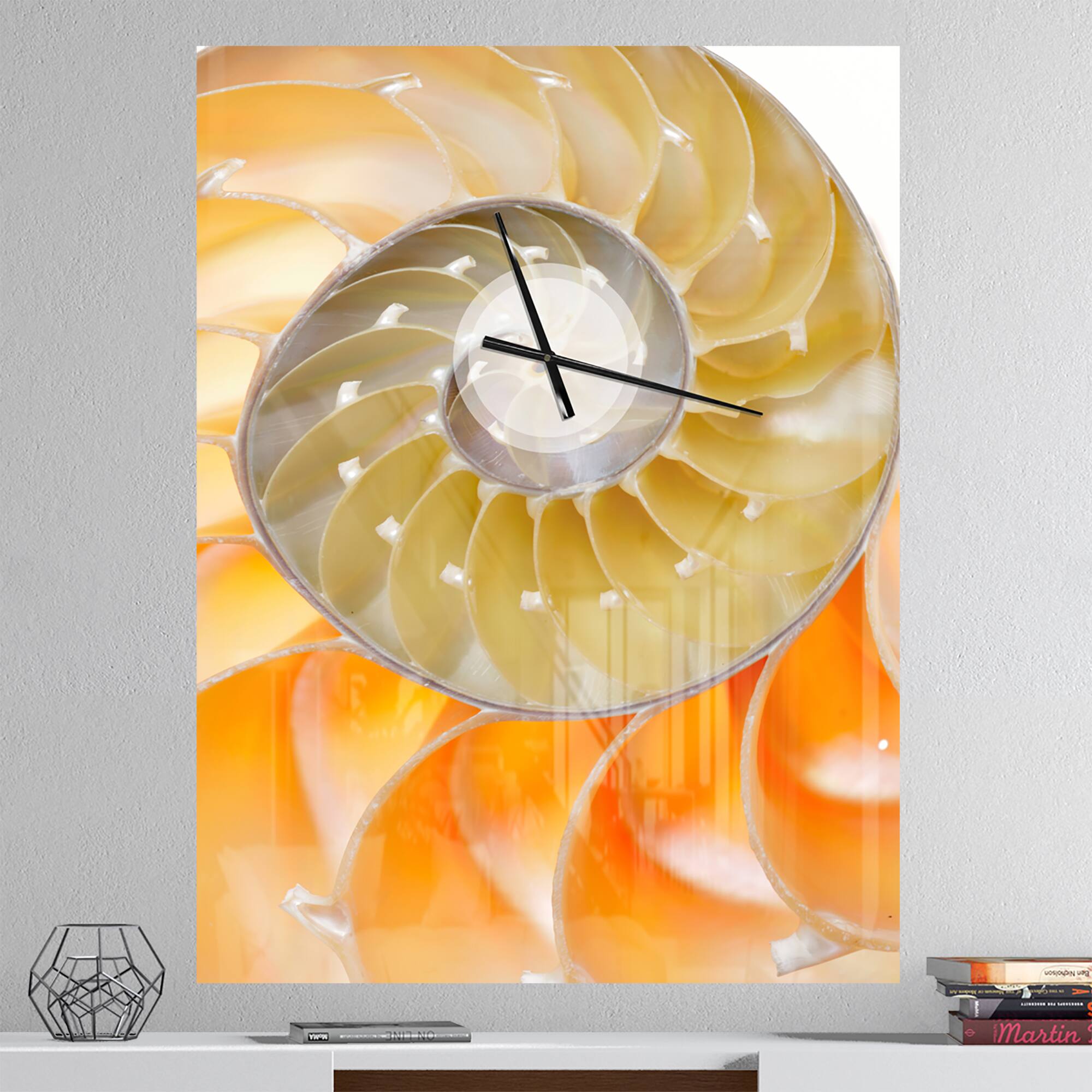 Designart &#x27;Isolated Nautilus Shell Modern Rectangular Wall Clock
