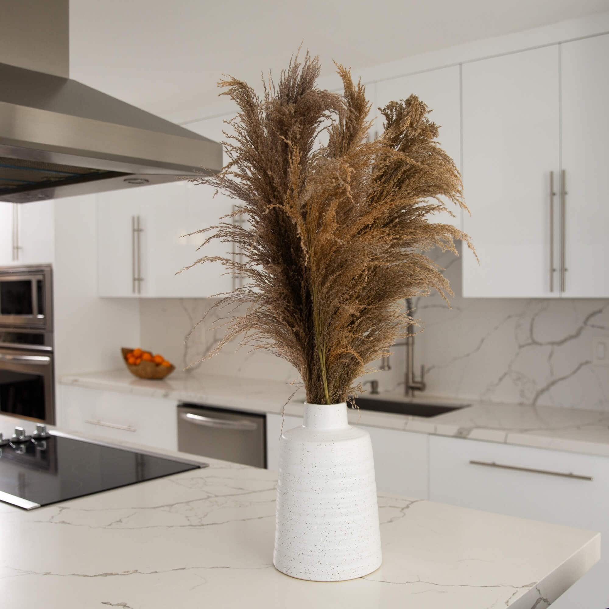 2.5ft. Dried Natural Pampas Arrangement in Ceramic Vase