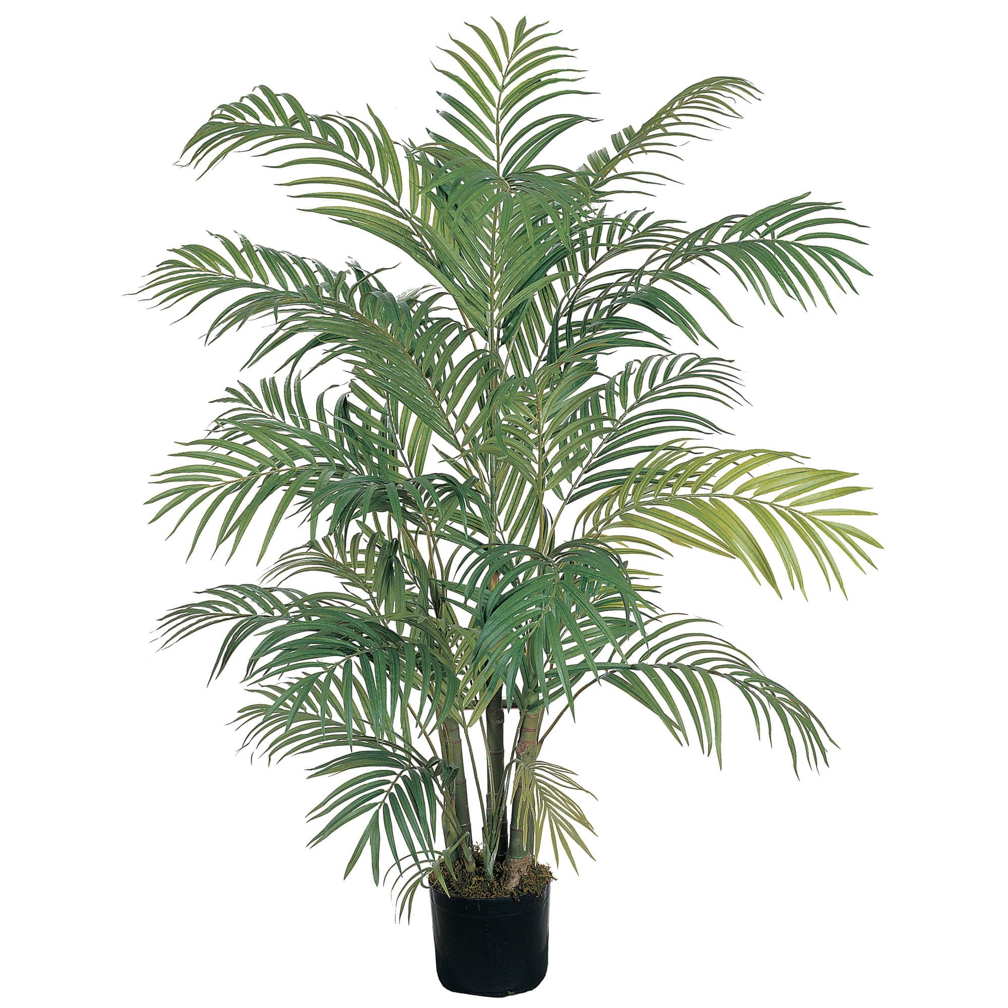 4ft. Potted Areca Silk Palm Tree