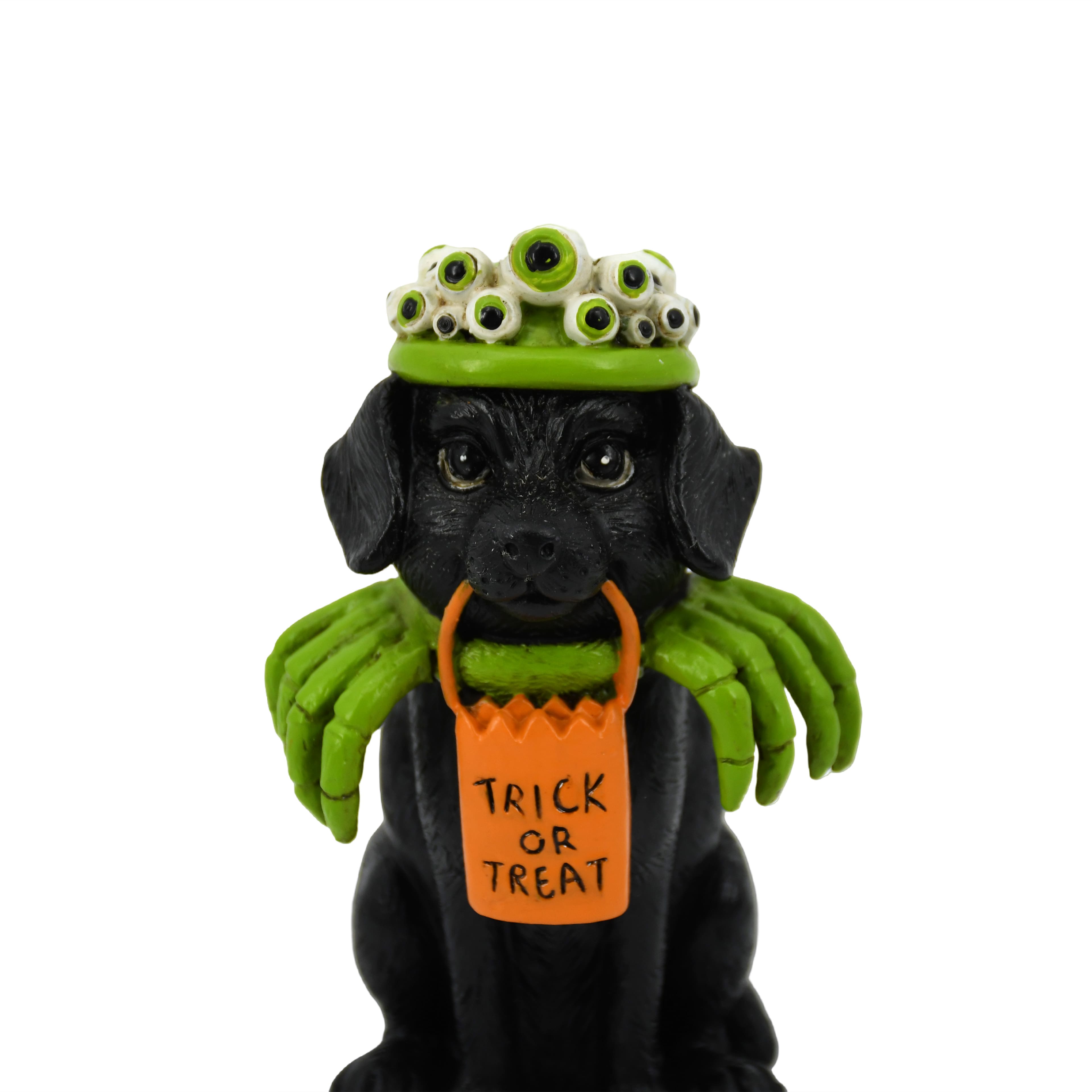 5" Trick-Or-Treat Dog in Spider Costume Tabletop Décor by Ashland®