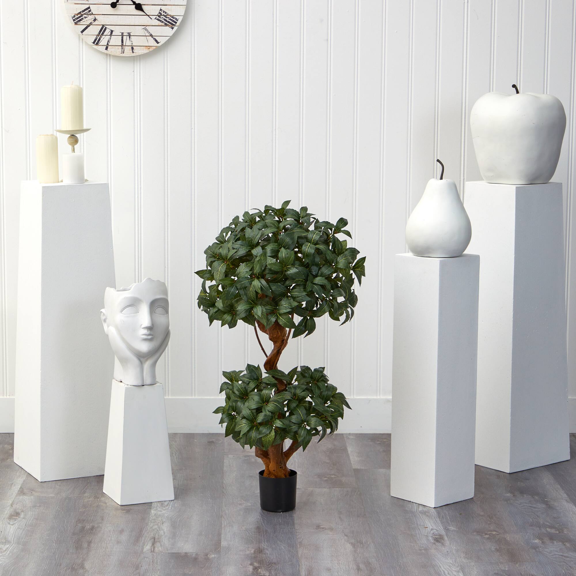 3ft. Potted Bay Laurel Double Ball Topiary Tree