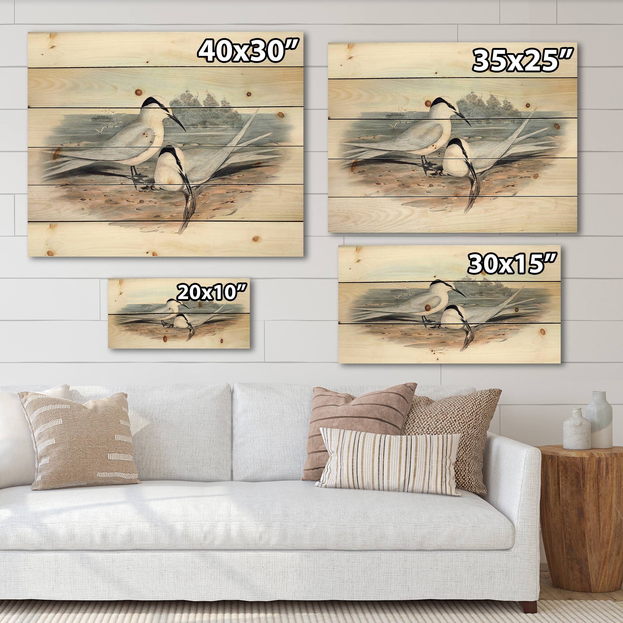 Designart - Vintage Birds In The Wild IX - Traditional Print on Natural Pine Wood