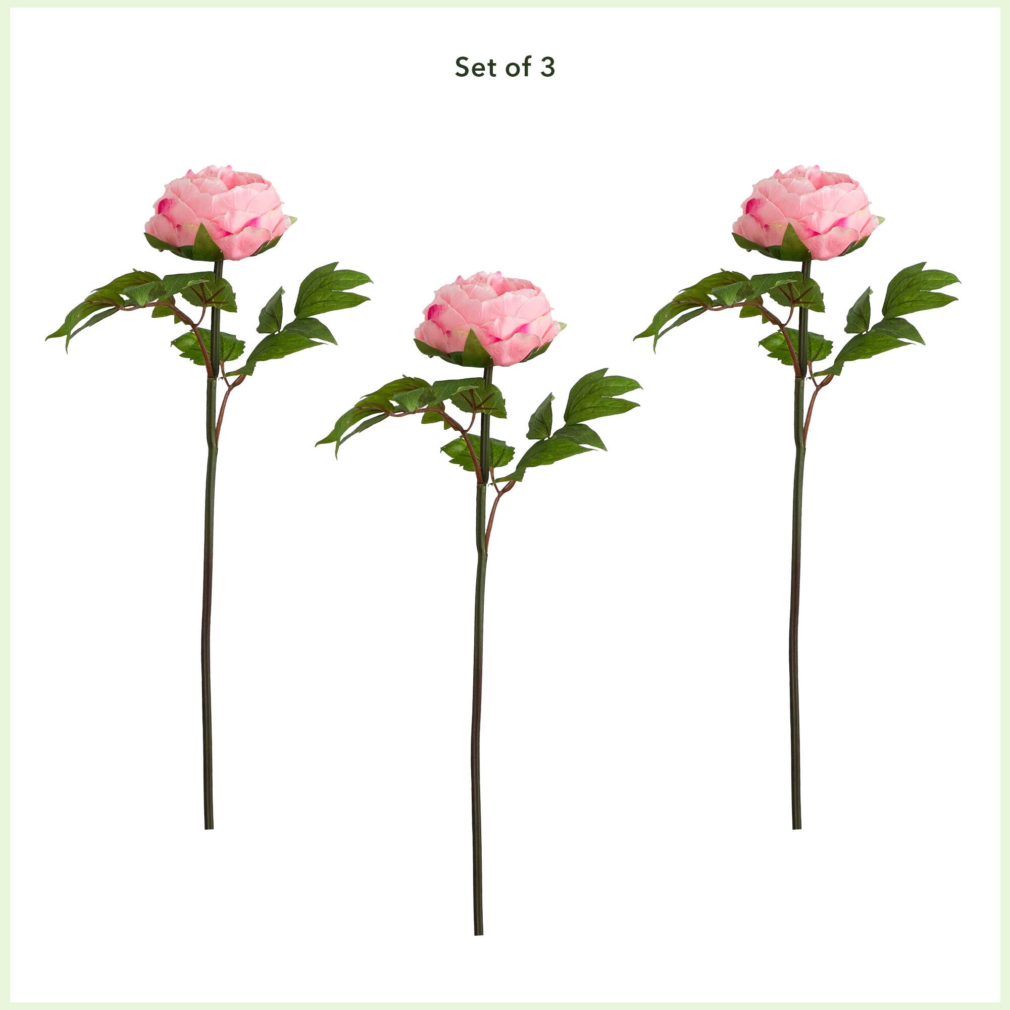20&#x22; Pink Peony Flower Stems, 3ct.