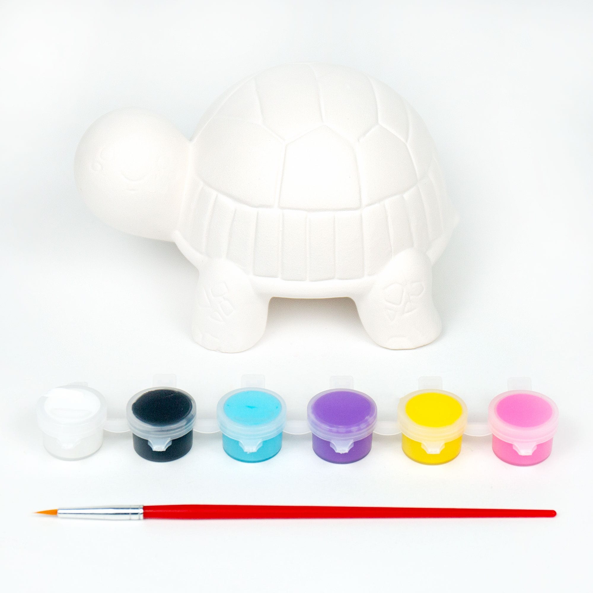12 Pack: Color Zone® Paint Your Own Turtle Kit