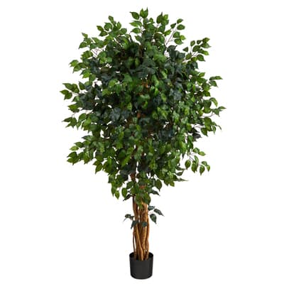 5.5ft. Potted Ficus Tree | Michaels