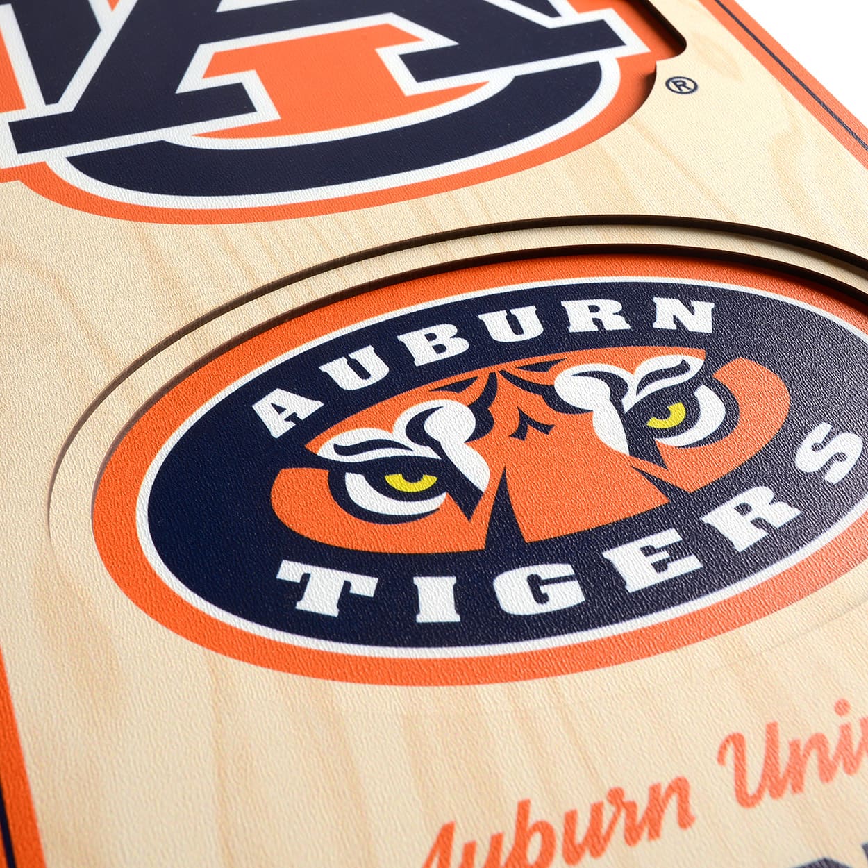 College 3D StadiumView Banner