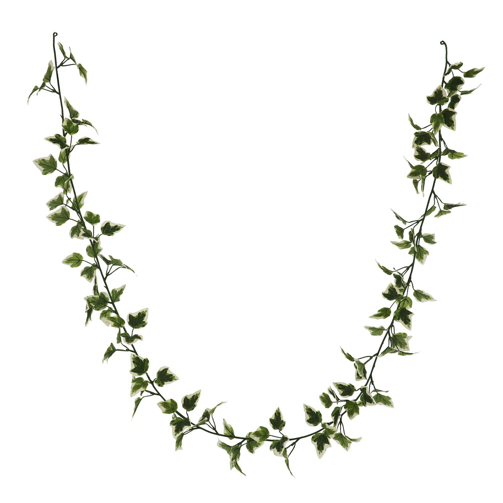 8 Pack: 6ft. Variegated Ivy Garland by Ashland®