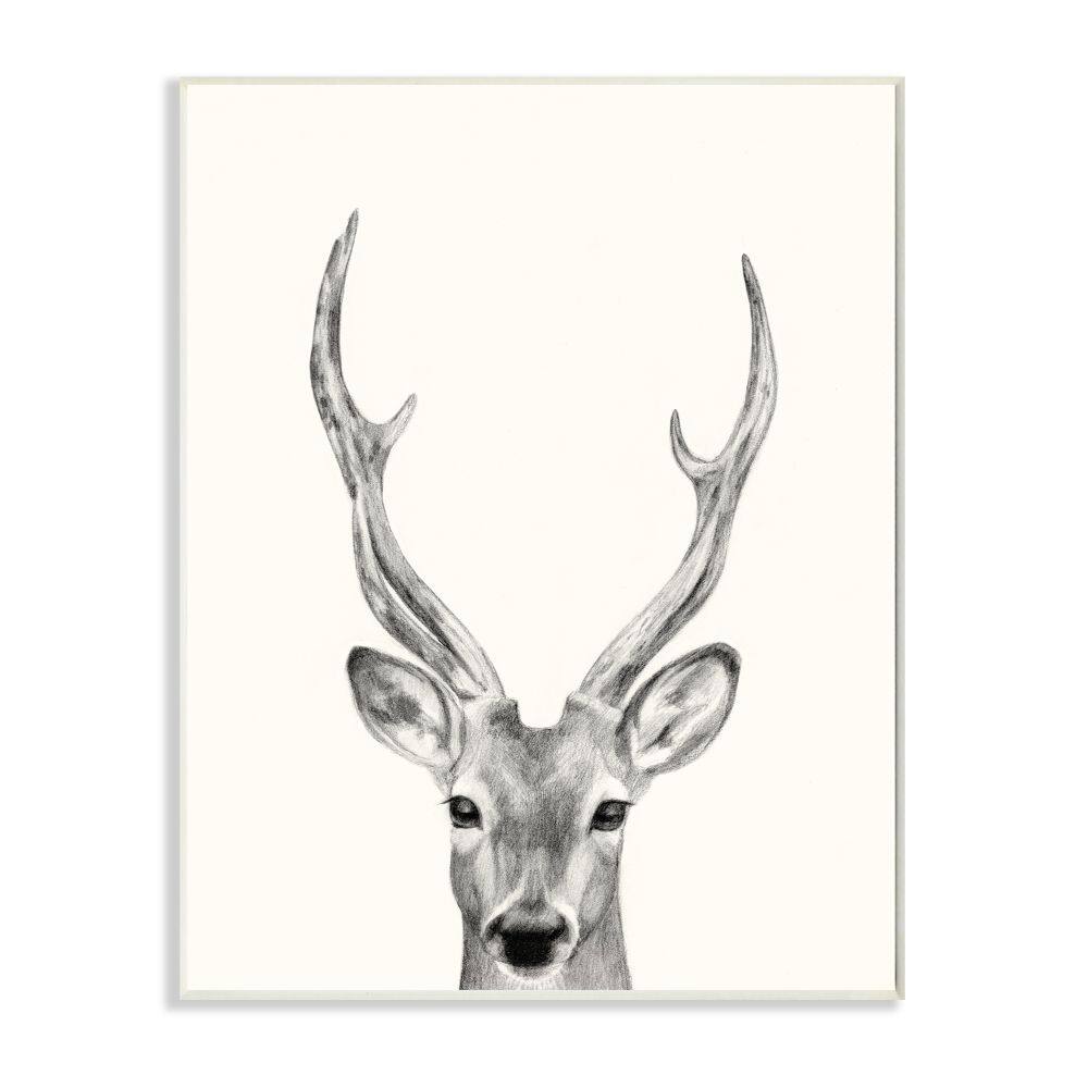 Stupell Industries Deer Portrait Grey Drawing Design Wood Wall Plaque