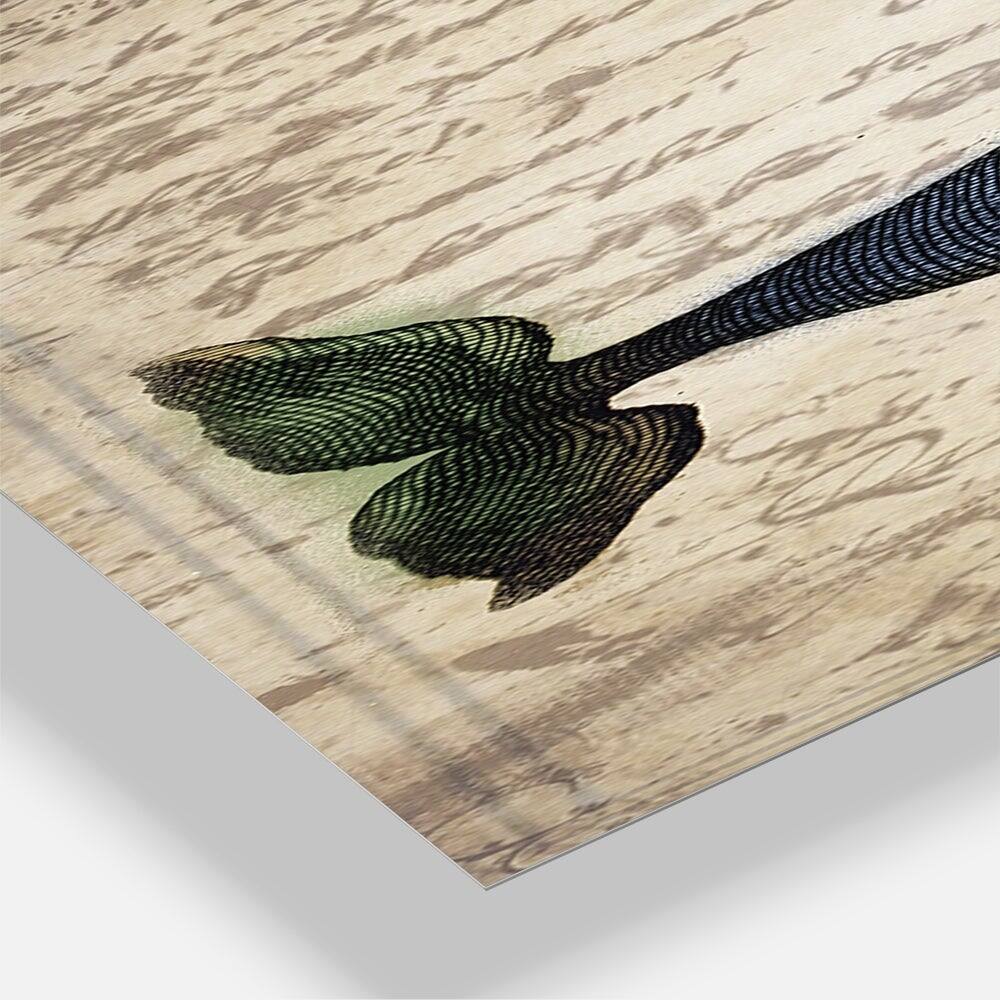 Designart Old Style Whale With Hat Oversized Nautical & Coastal 3 Panel Wall Clock