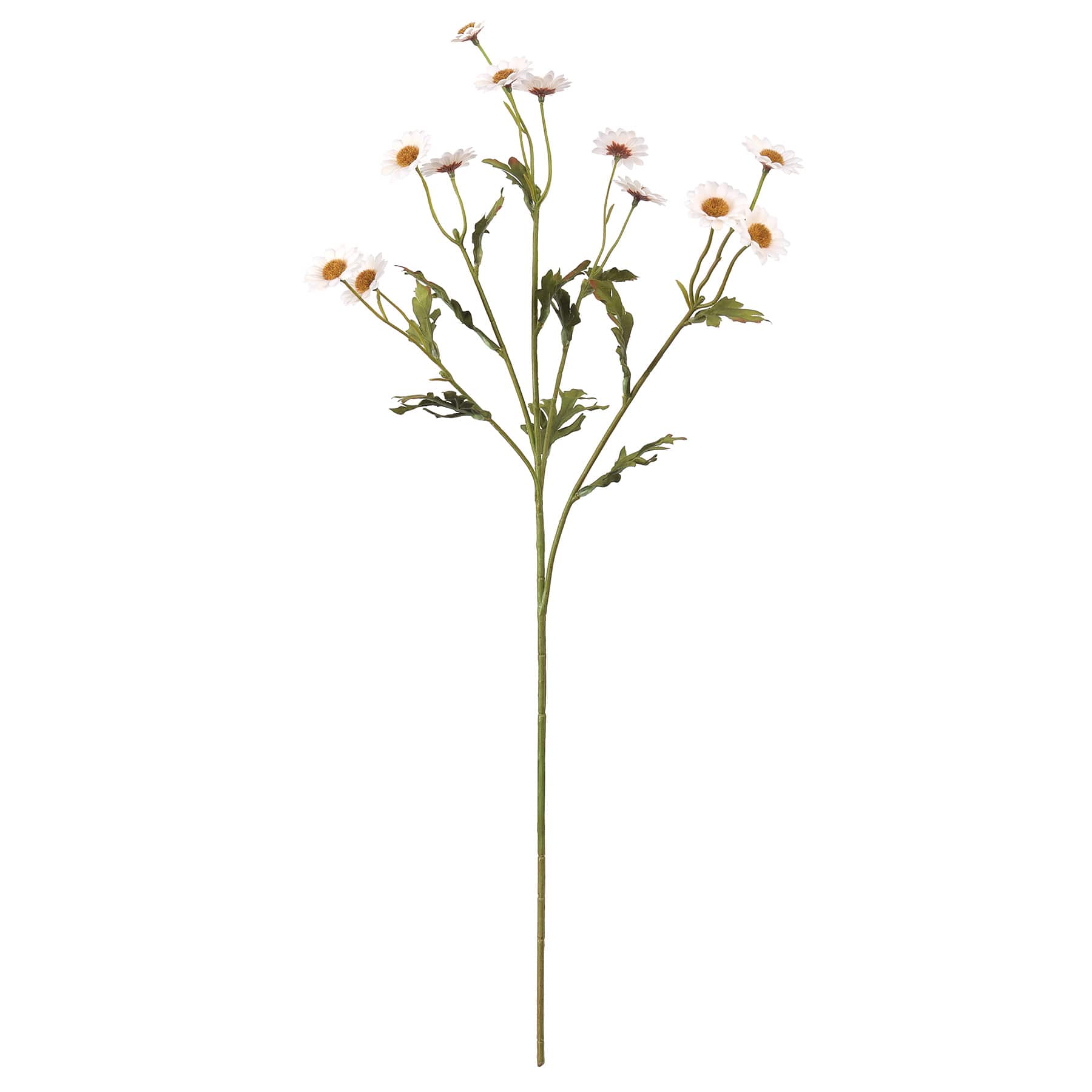 27&#x22; Mini Daisy Stem by Ashland&#xAE;