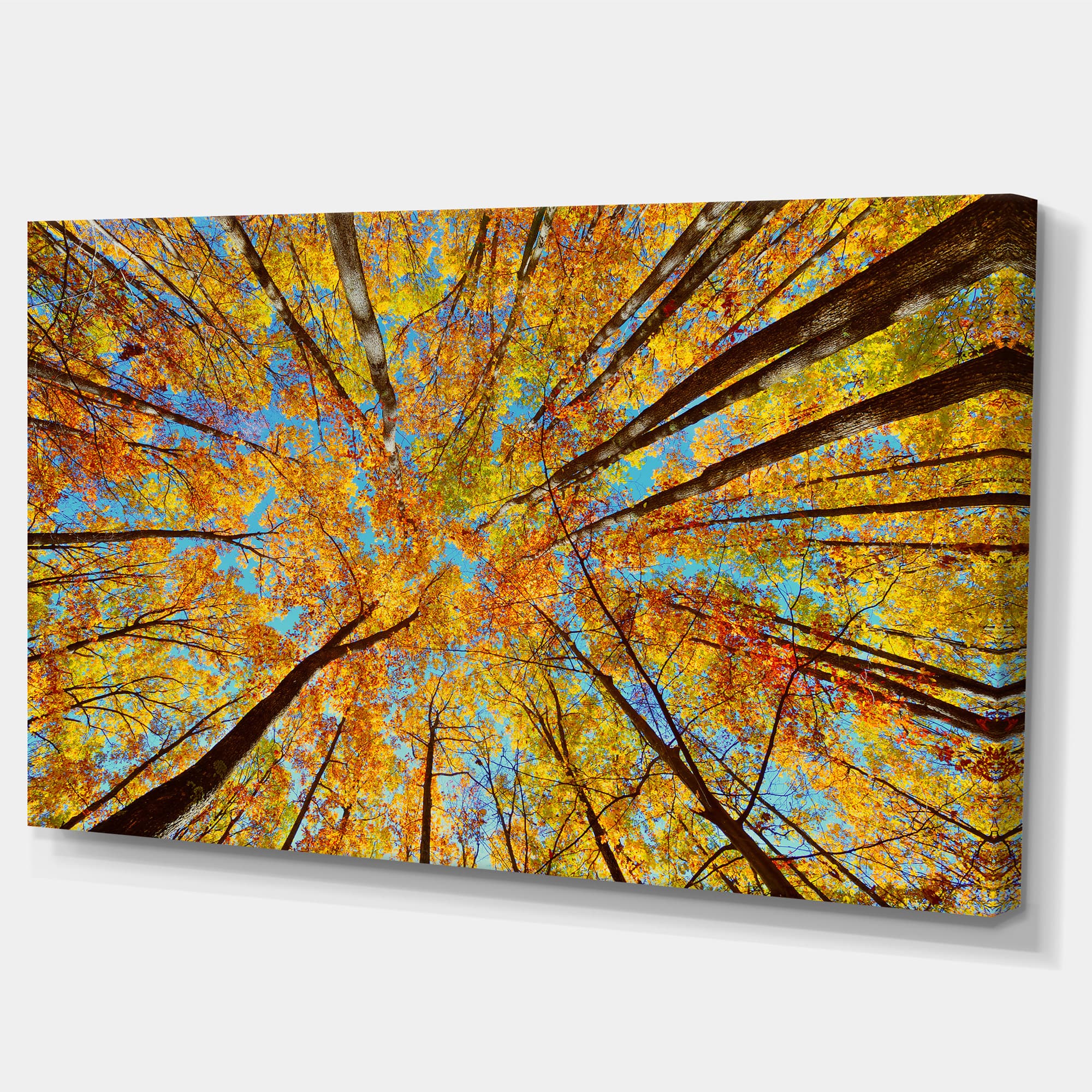 Designart - Tree Tops in Autumn Forest - Forest Canvas Art Print