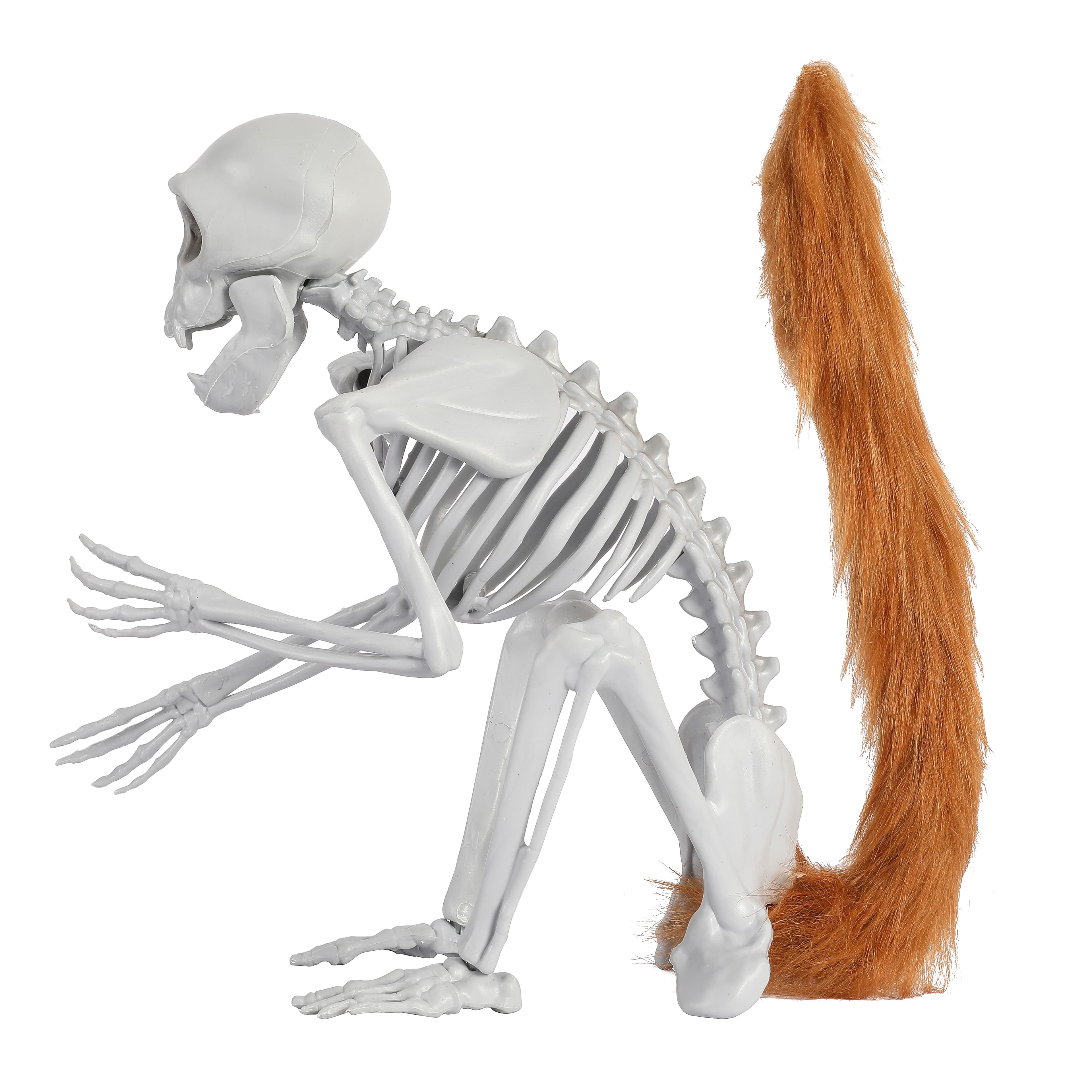 11&#x22; Skeleton Monkey by Ashland&#xAE;