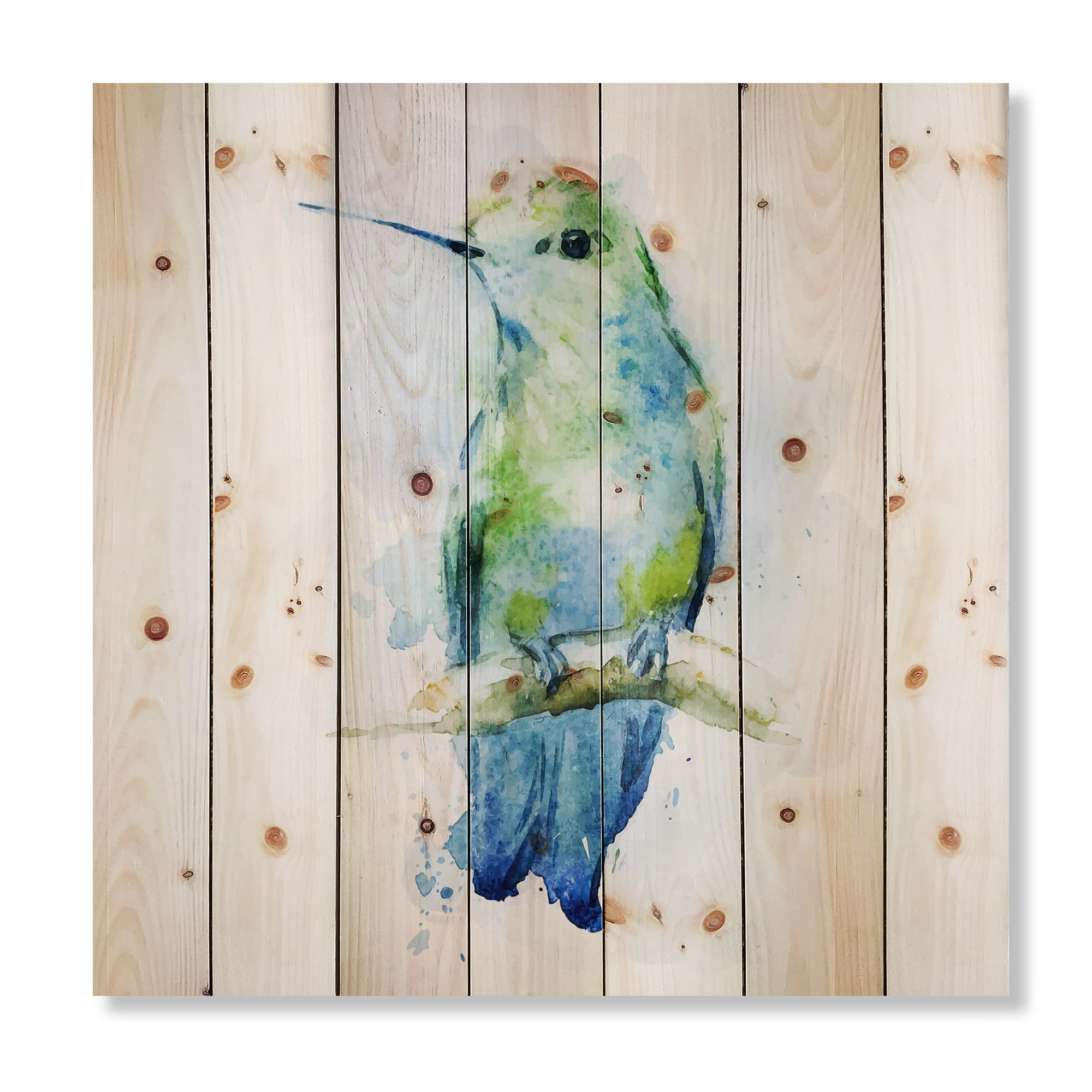 Designart - Colibri Bird - Traditional Print on Natural Pine Wood