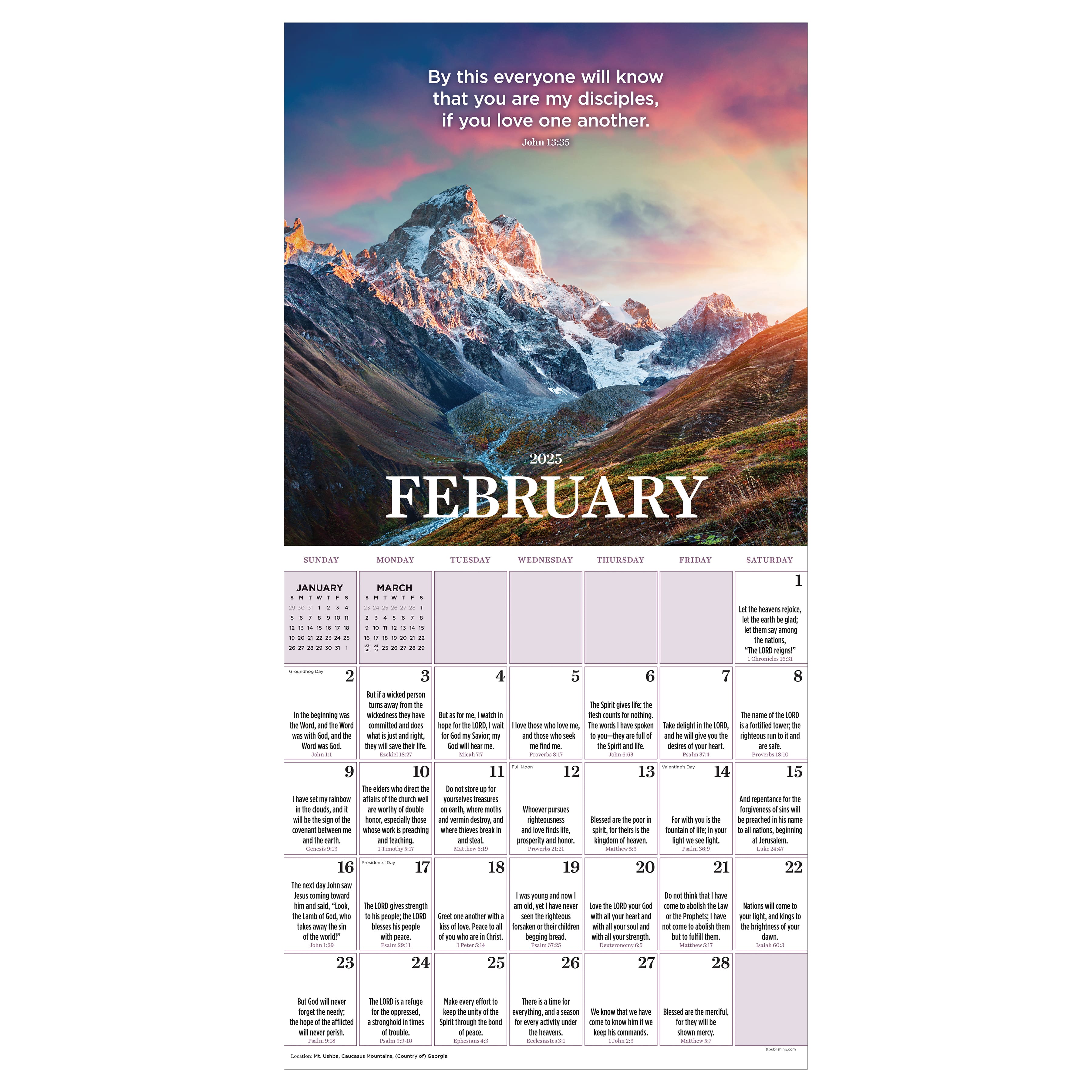 TF Publishing 2025 Daily Verse Wall Calendar