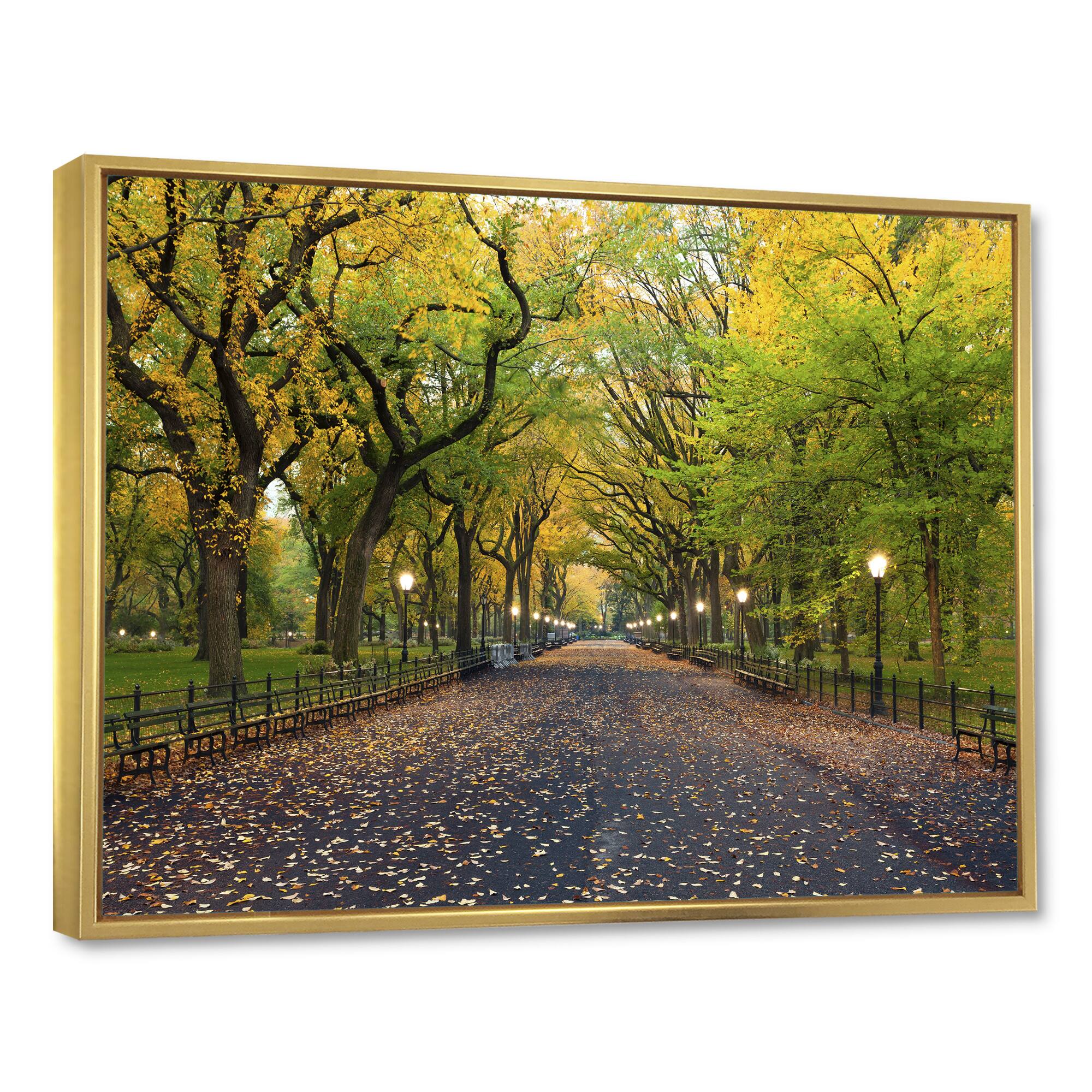 Designart - The Mall Area in Central Park - Large Landscape Framed Canvas Art