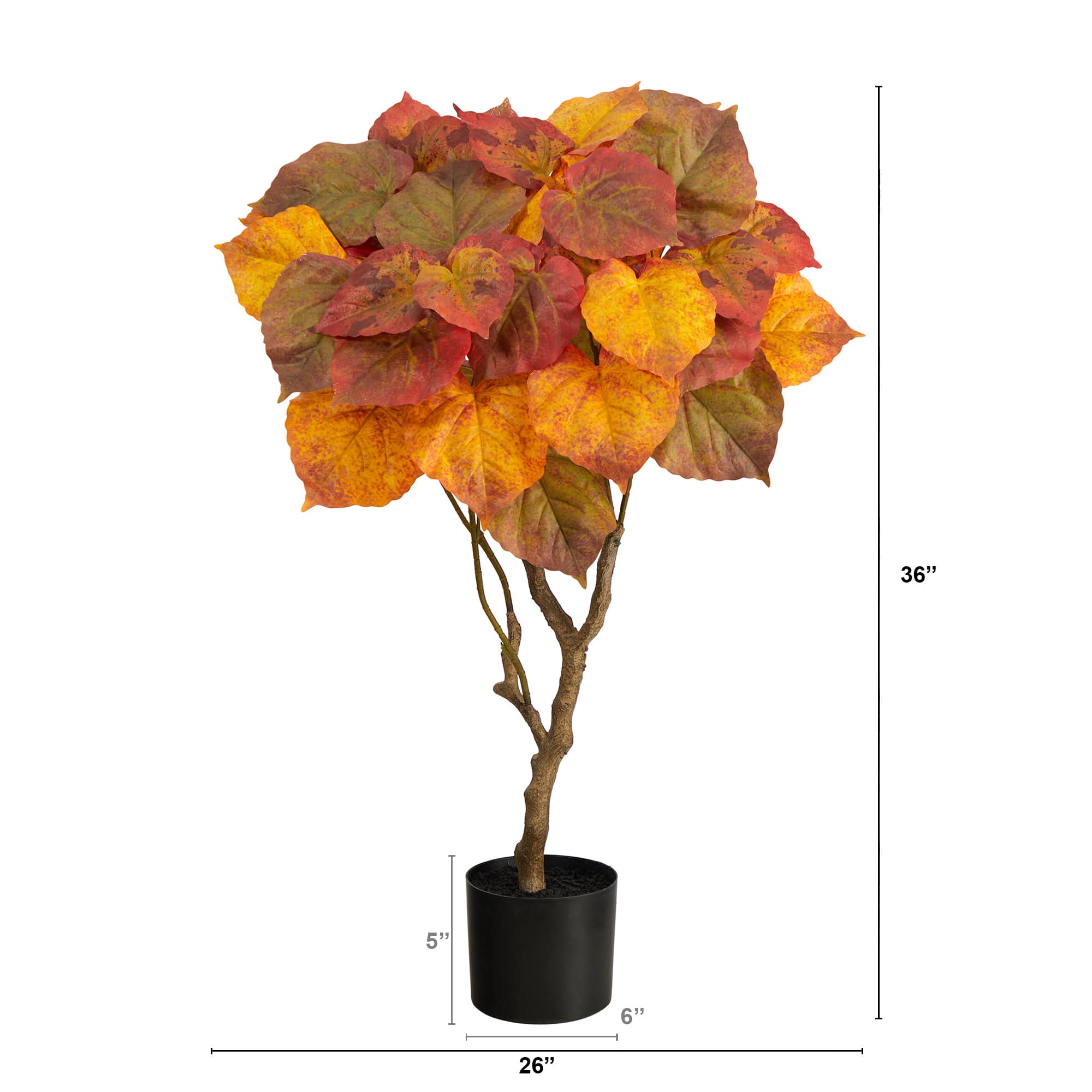 3ft. Orange Autumn Umbrella Ficus Tree