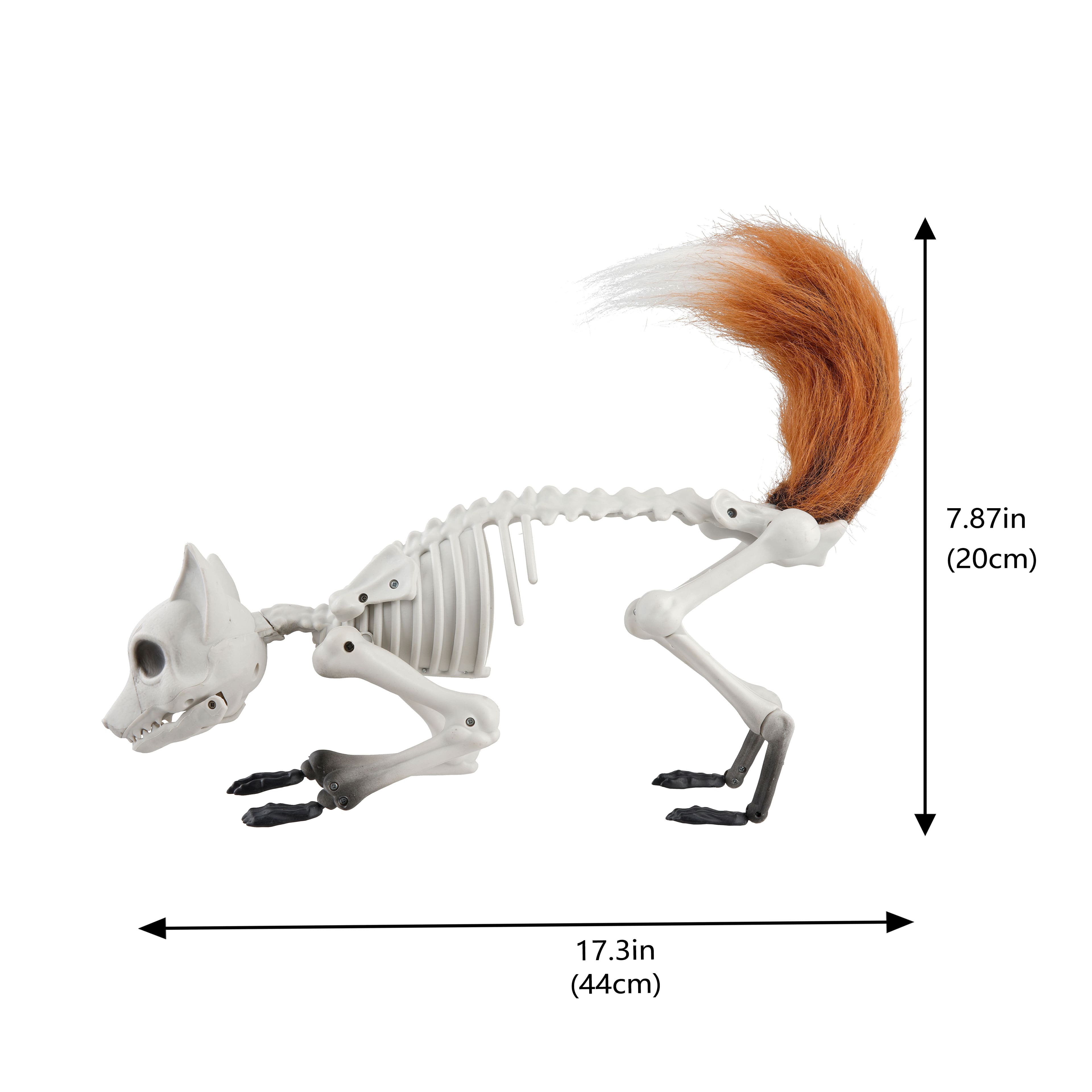17.75&#x22; Fox Skeleton D&#xE9;cor by Ashland&#xAE;