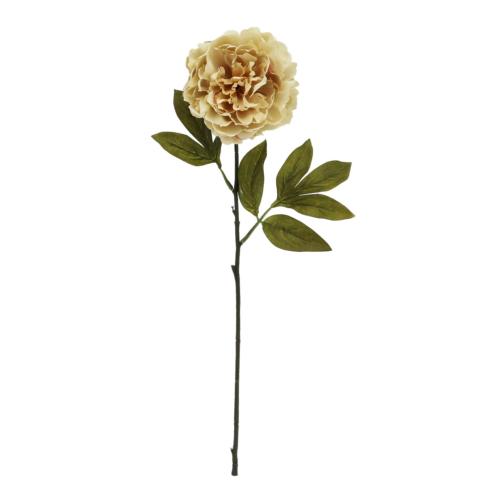 27&#x22; Beige Peony Stem by Ashland&#xAE;