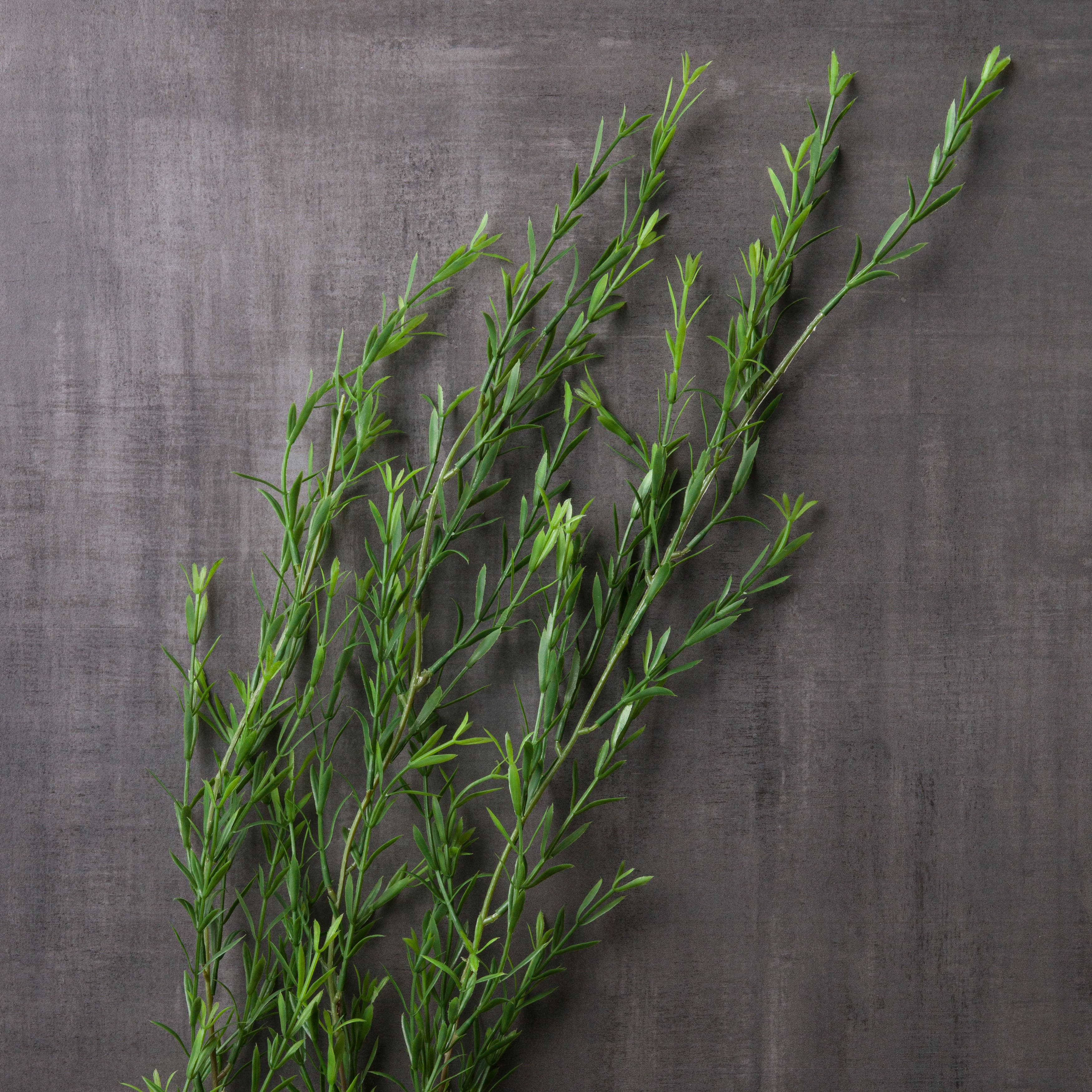 12 Pack: Green Trailing Grass Spray by Ashland®