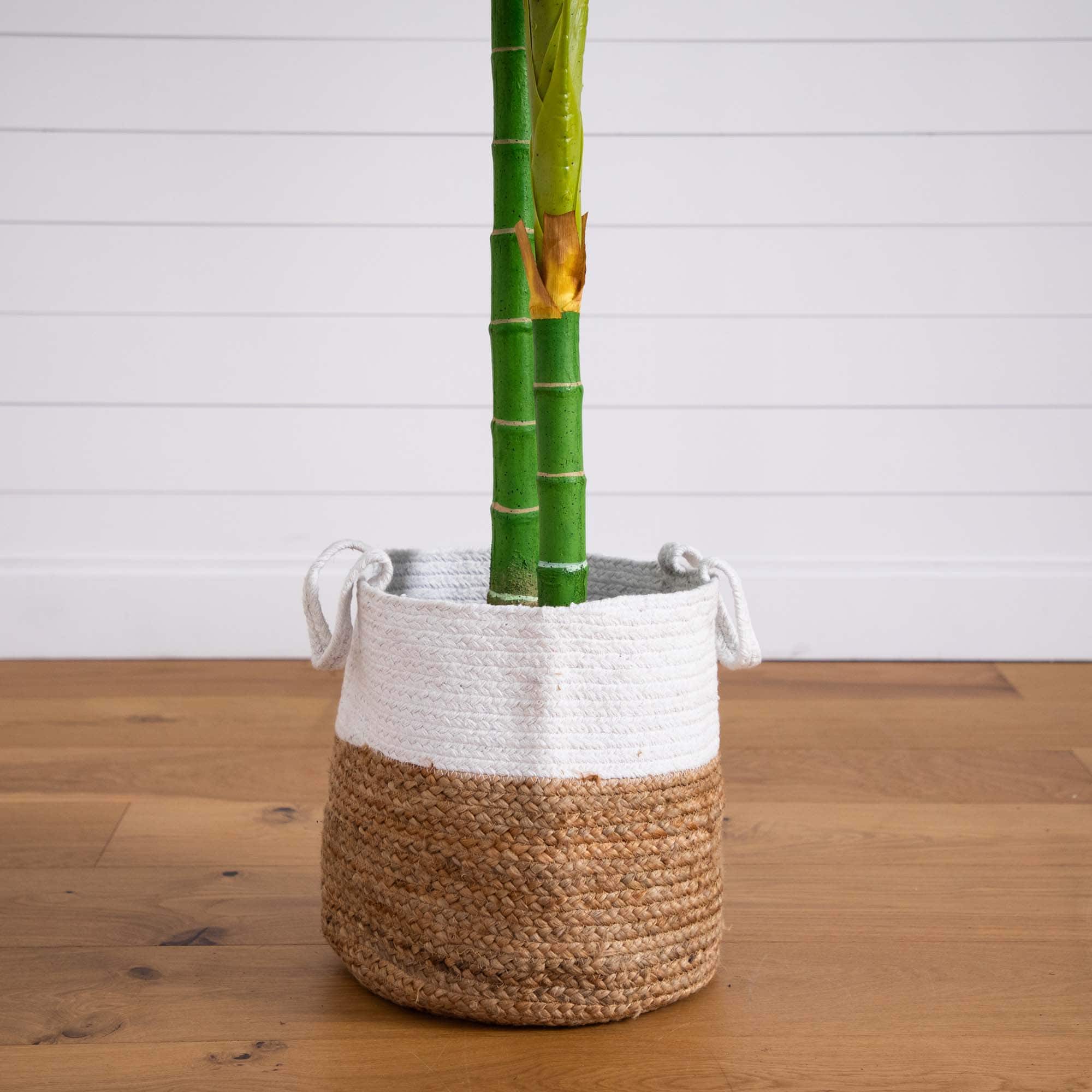 8ft. Golden Cane Palm Tree in Handmade Natural Cotton Planter