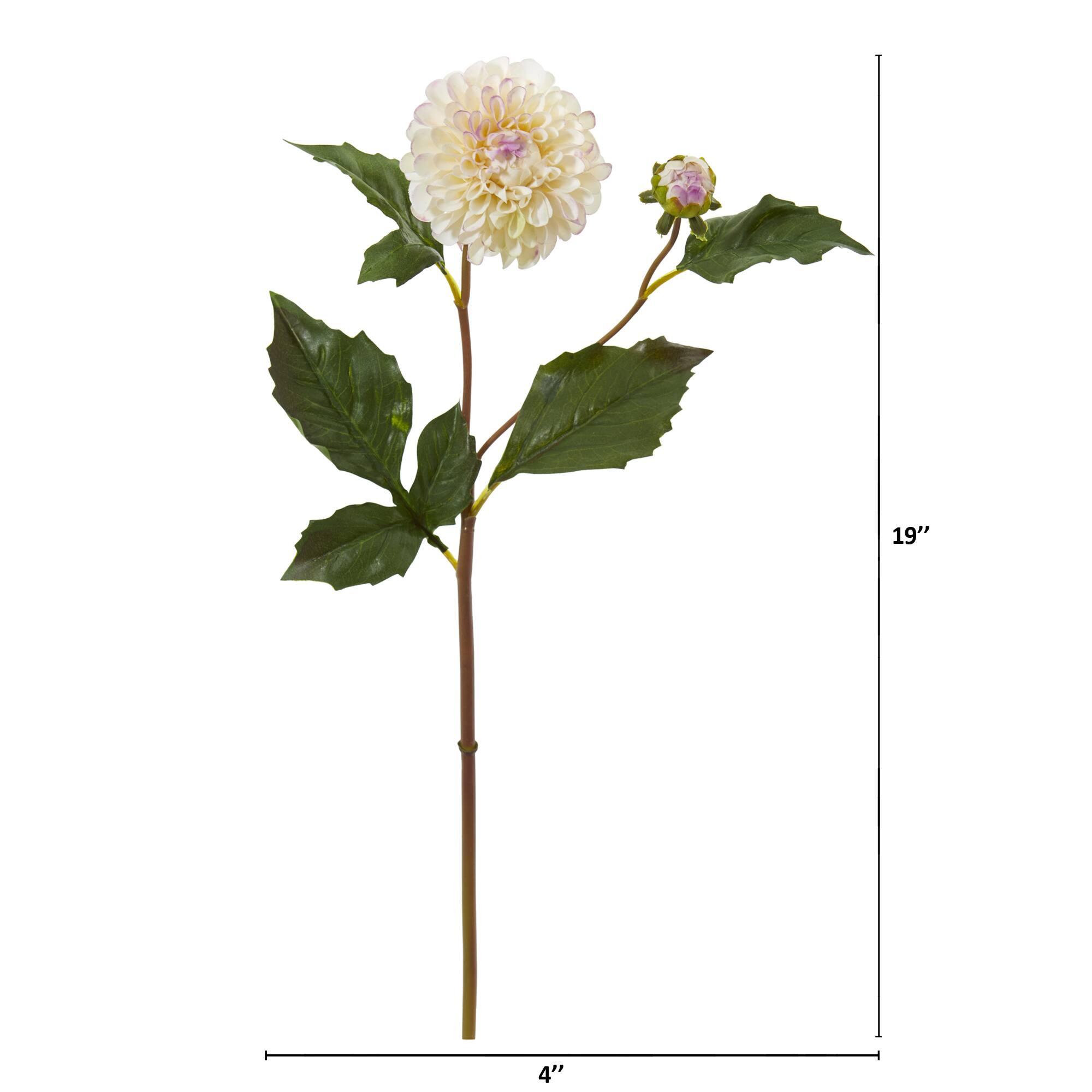 19&#x22; Dahlia Stem, 6ct.