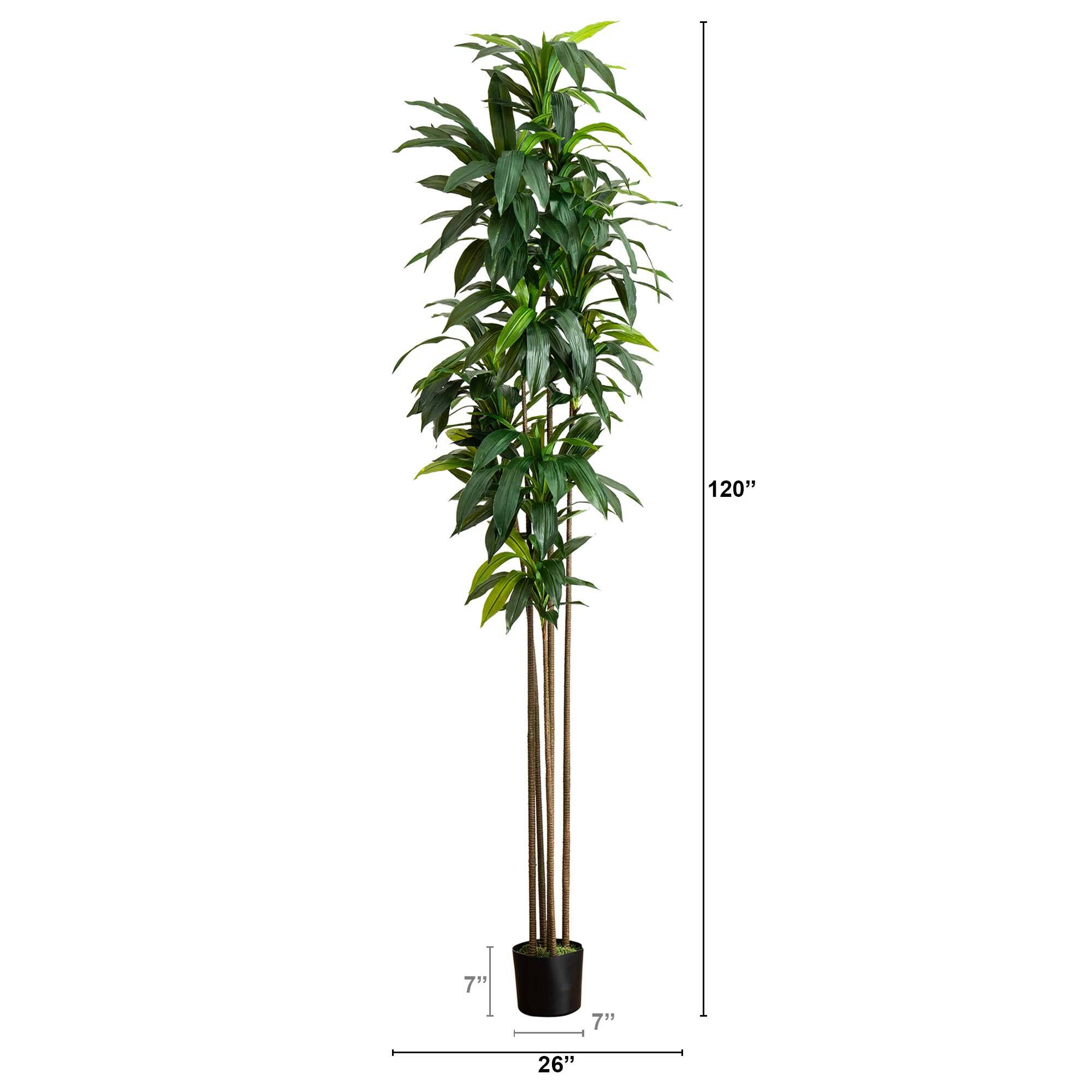 10ft. Potted Green Artificial Dracaena Tree with Real Touch Leaves
