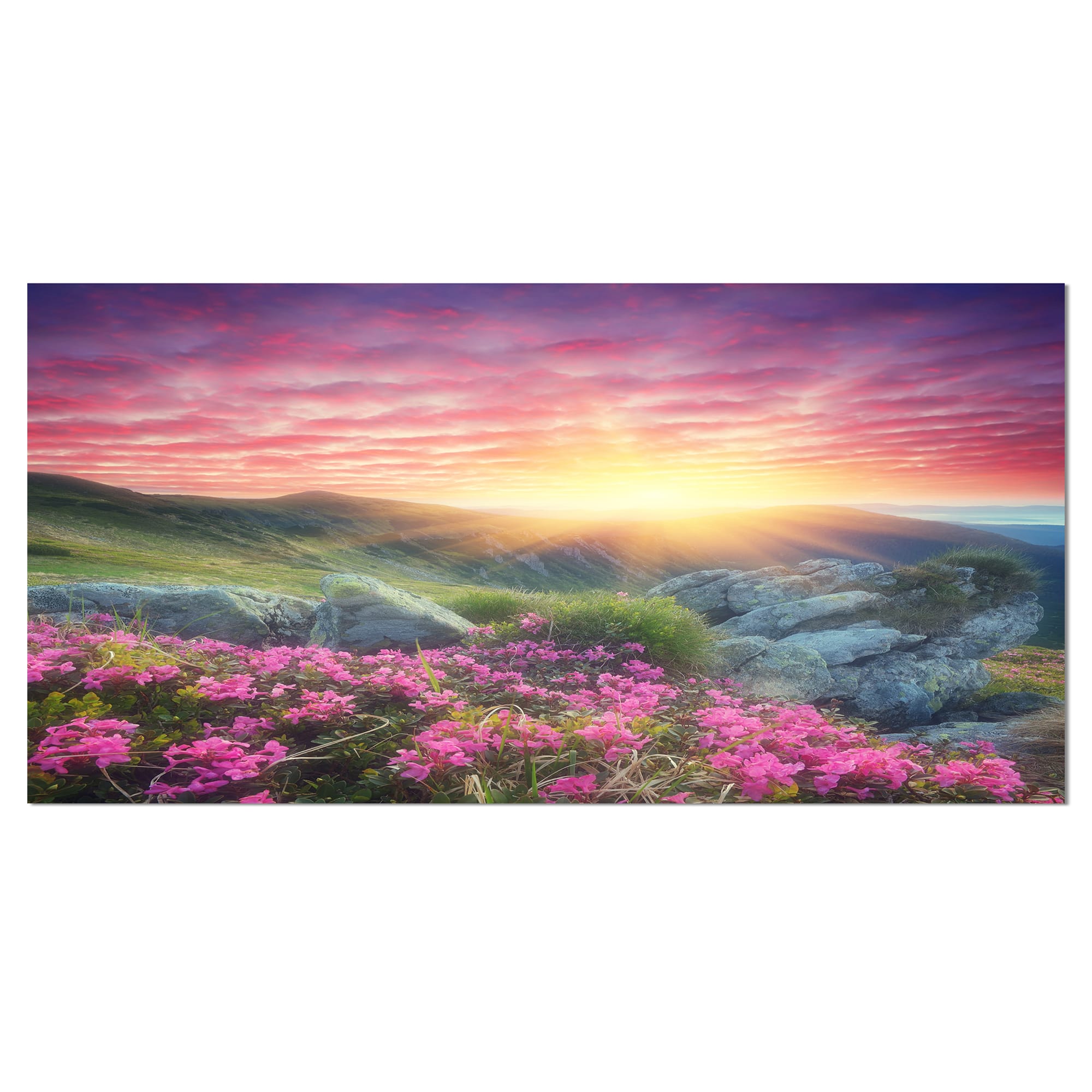 Designart - Morning with Flowers in Mountains - Landscape Photography Canvas Print